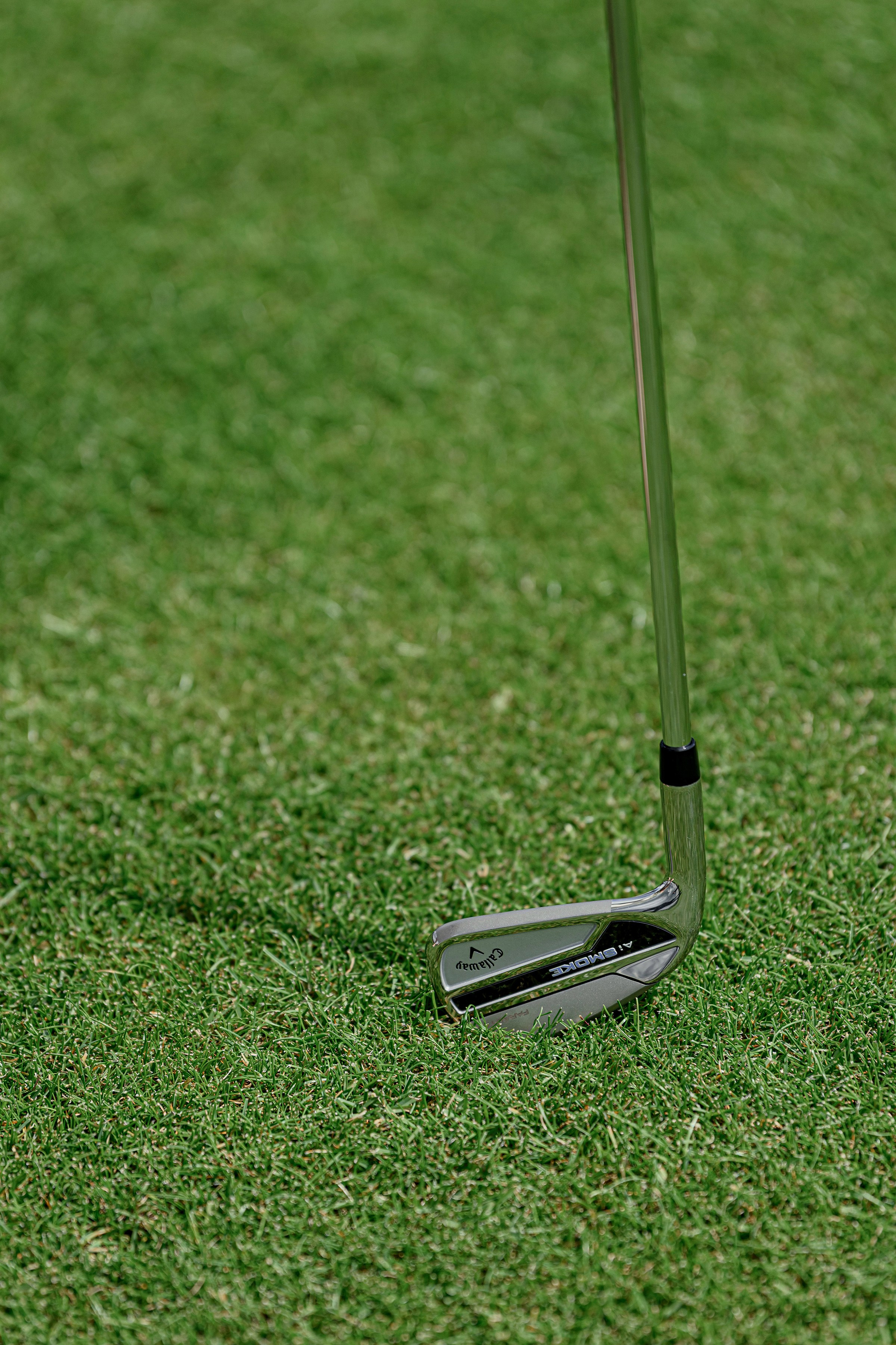 LIZA & RUSLAN. Свадебный и семейный фотограф