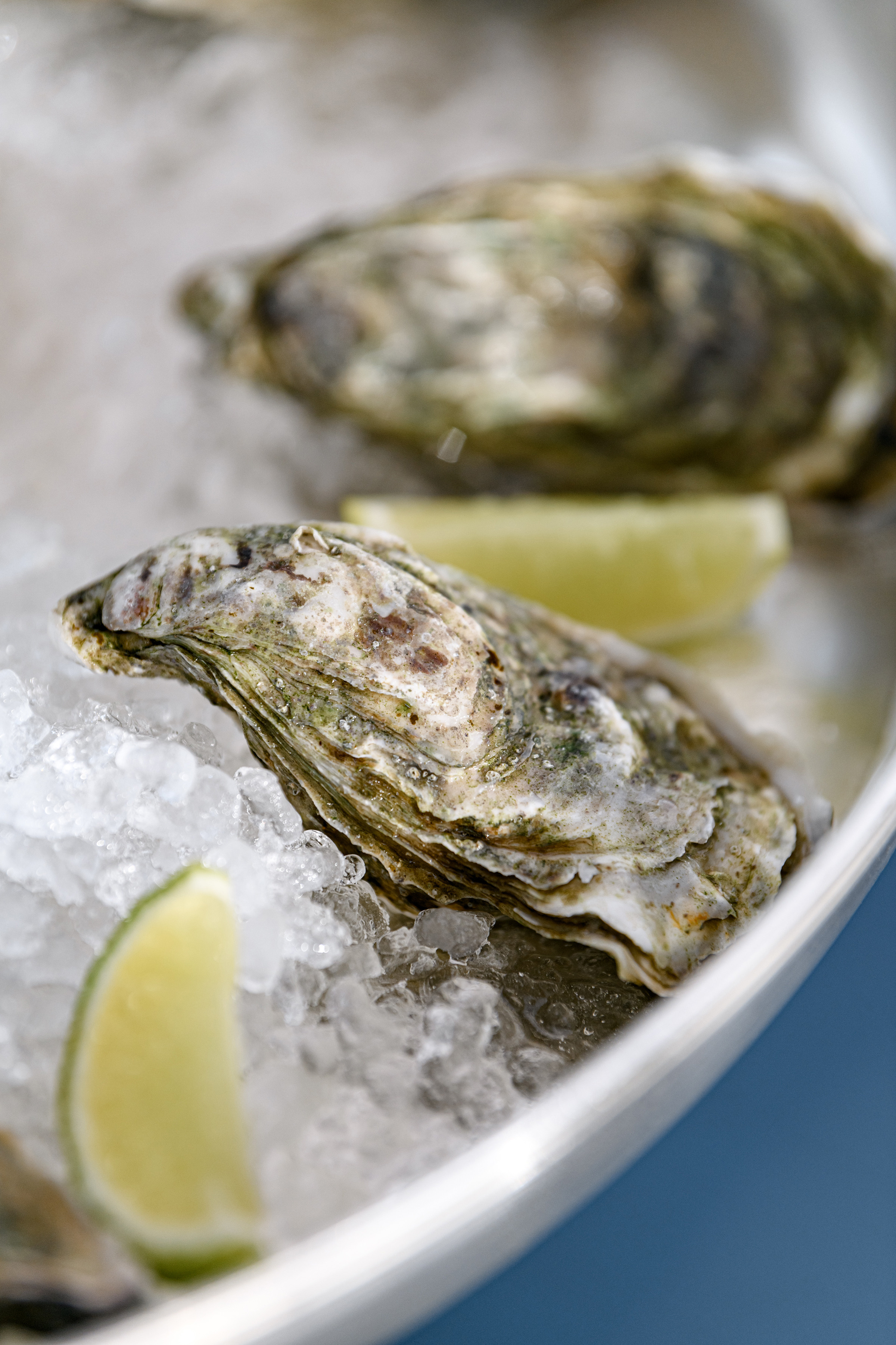 Благодійній концерт від фонду «Мамине серце» — «Твій вихід в світ». Свадебный и семейный фотограф