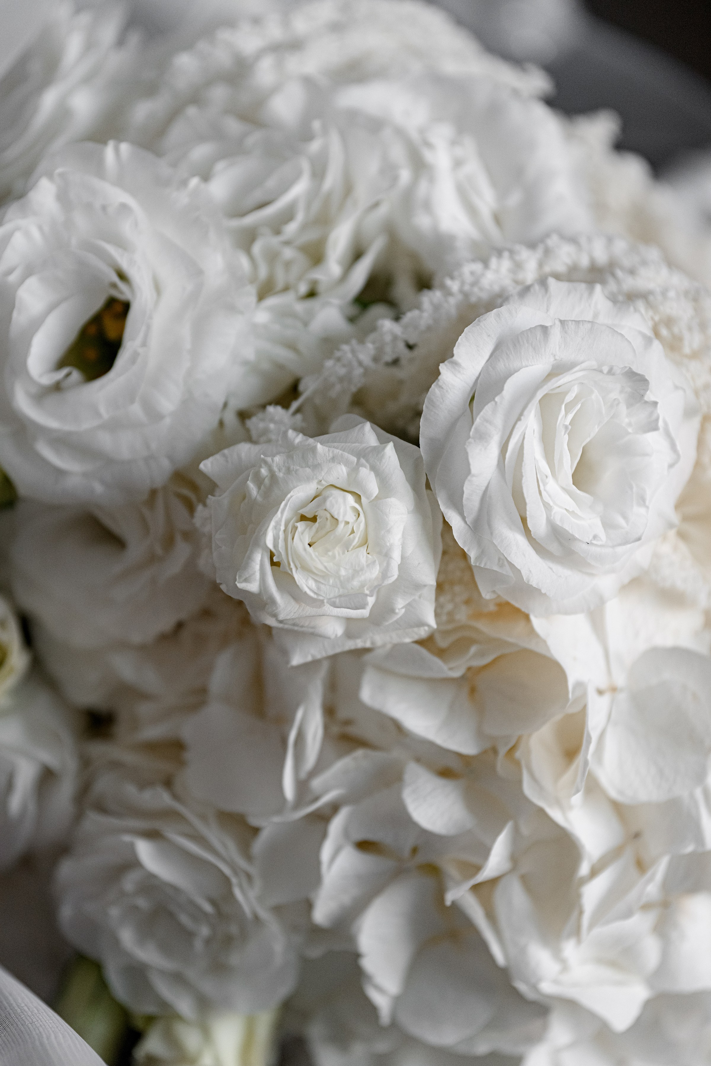 POLINA & DMITRI. Свадебный и семейный фотограф