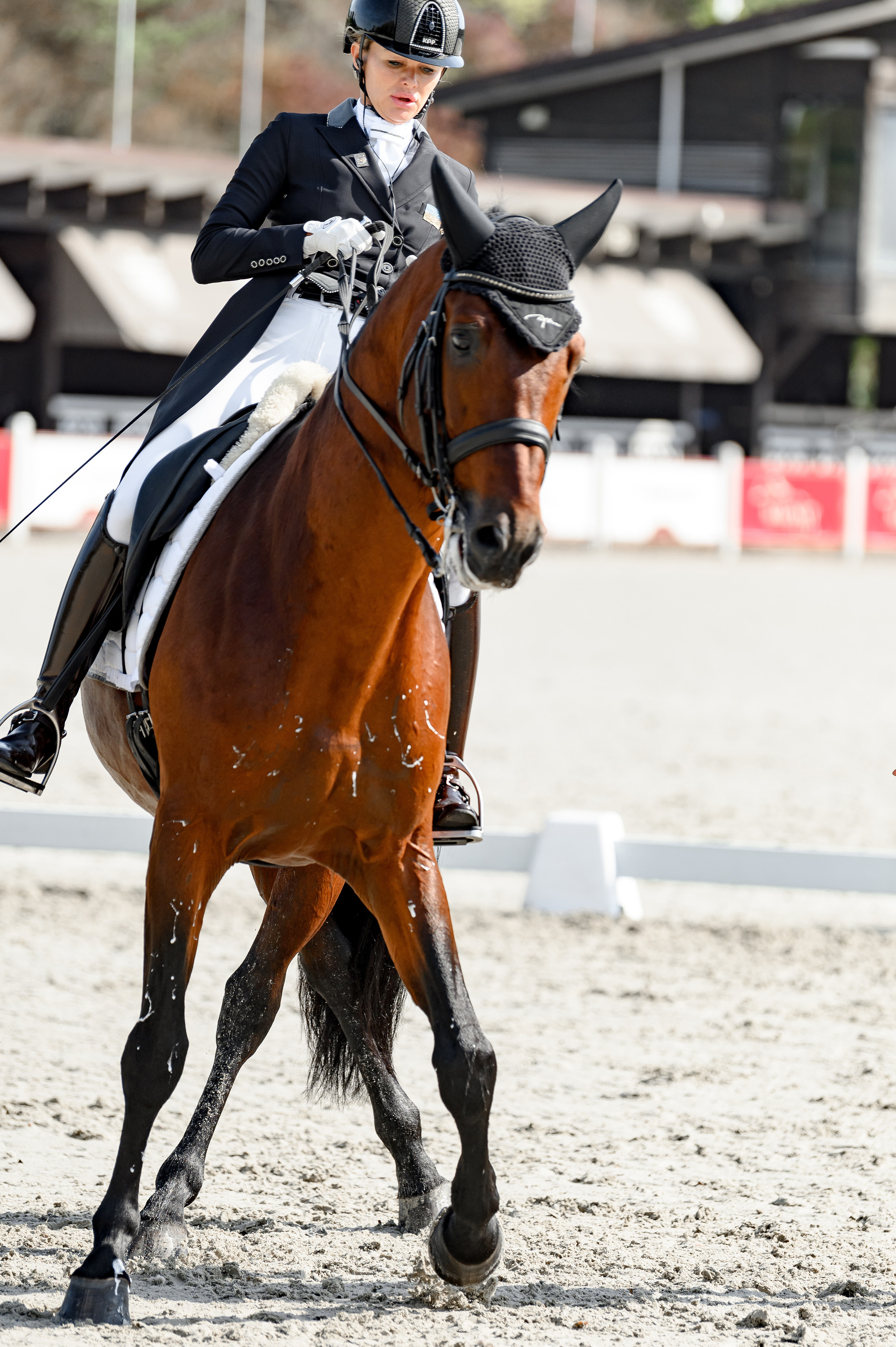 «DRESSAGE EQUIDES CUP 2023». Свадебный и семейный фотограф