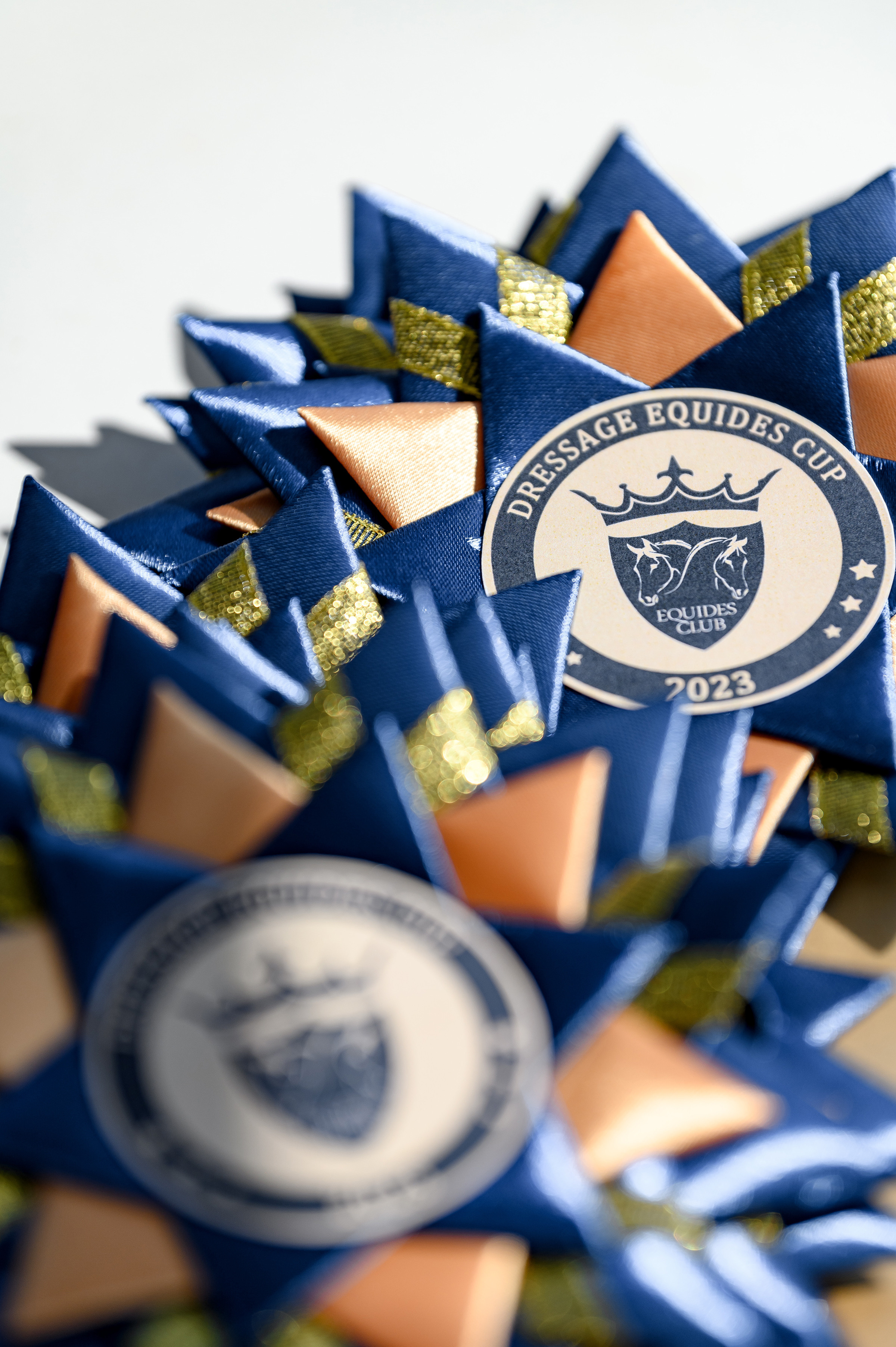 «DRESSAGE EQUIDES CUP 2023». Свадебный и семейный фотограф