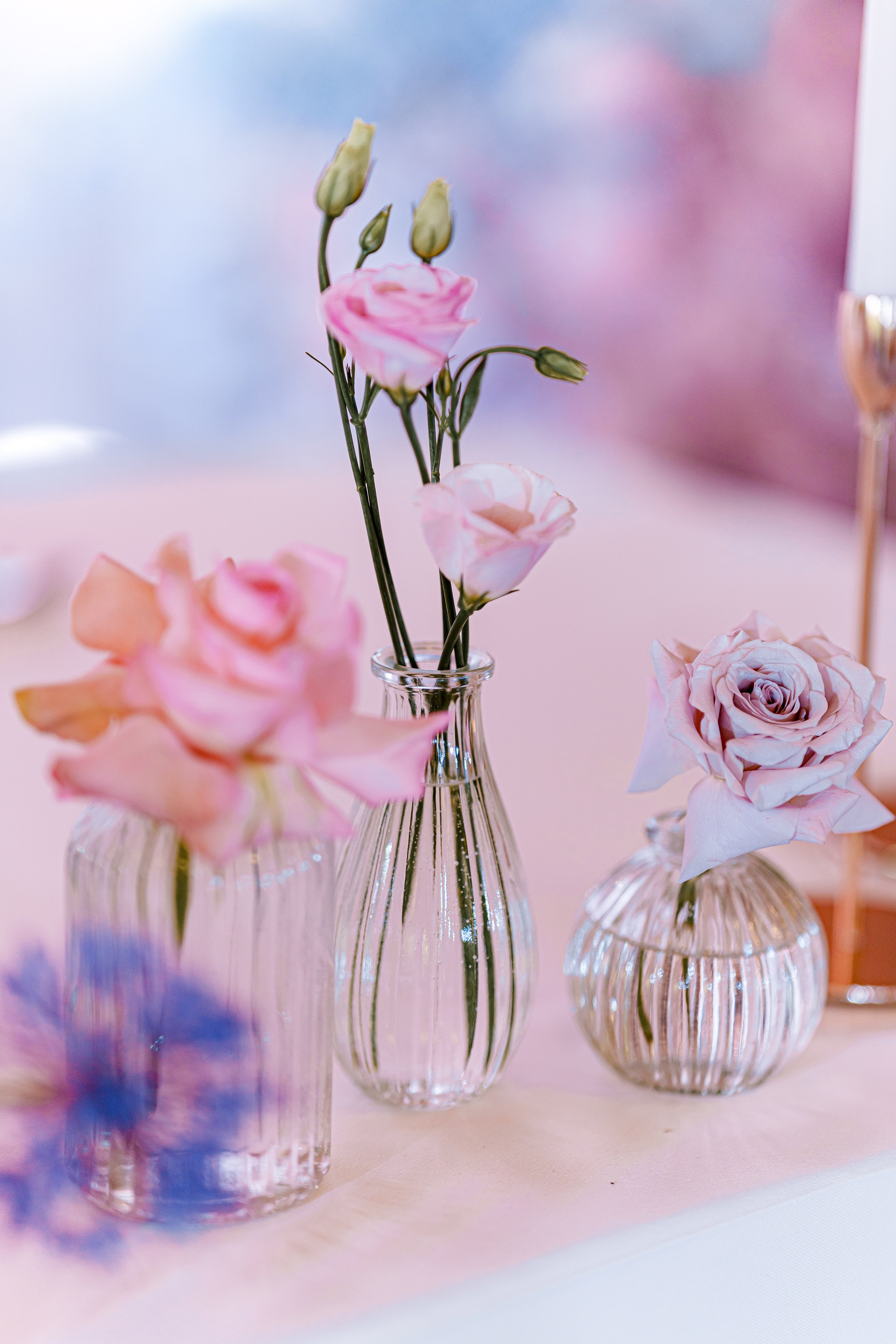 BOHDAN & ALEXANDRA. Свадебный и семейный фотограф