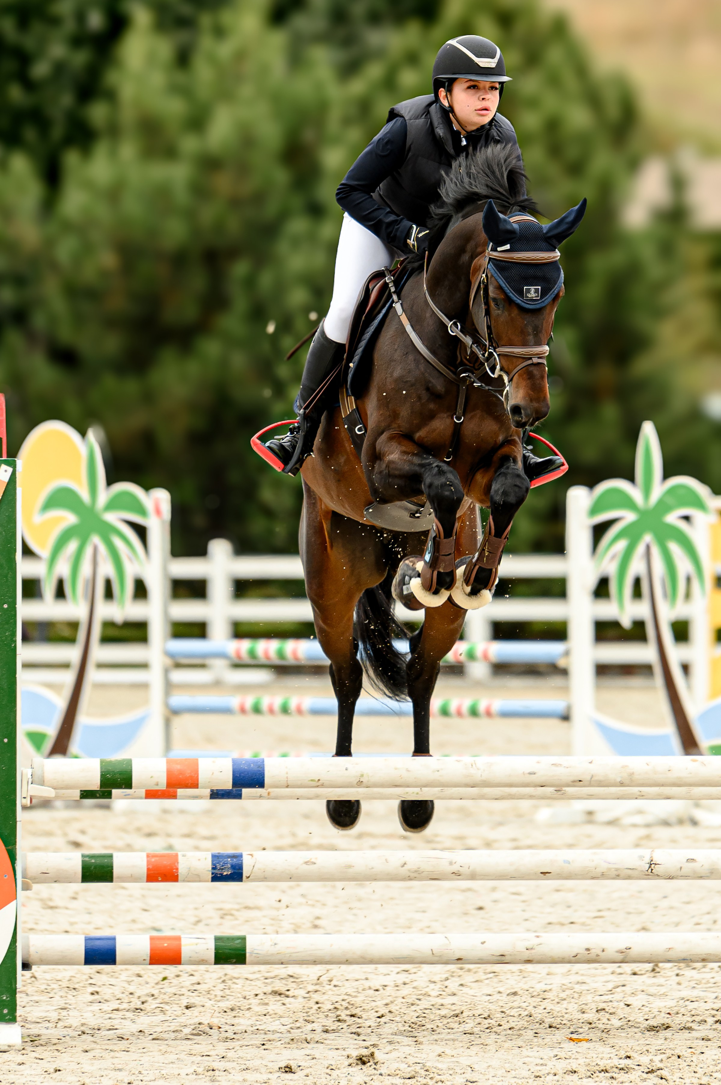 EQUIDES CUP 2023. Свадебный и семейный фотограф