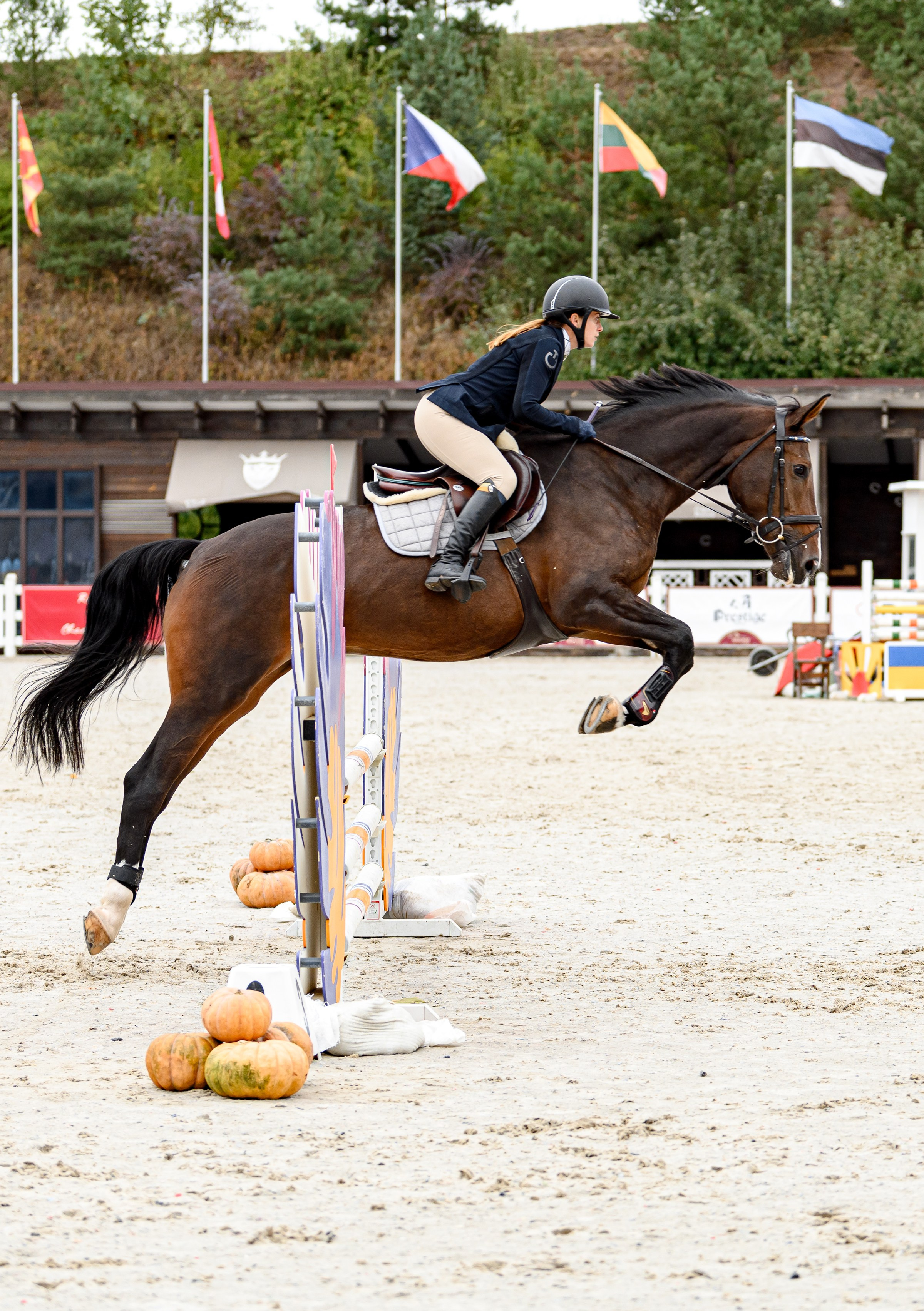 EQUIDES CUP 2023. Свадебный и семейный фотограф