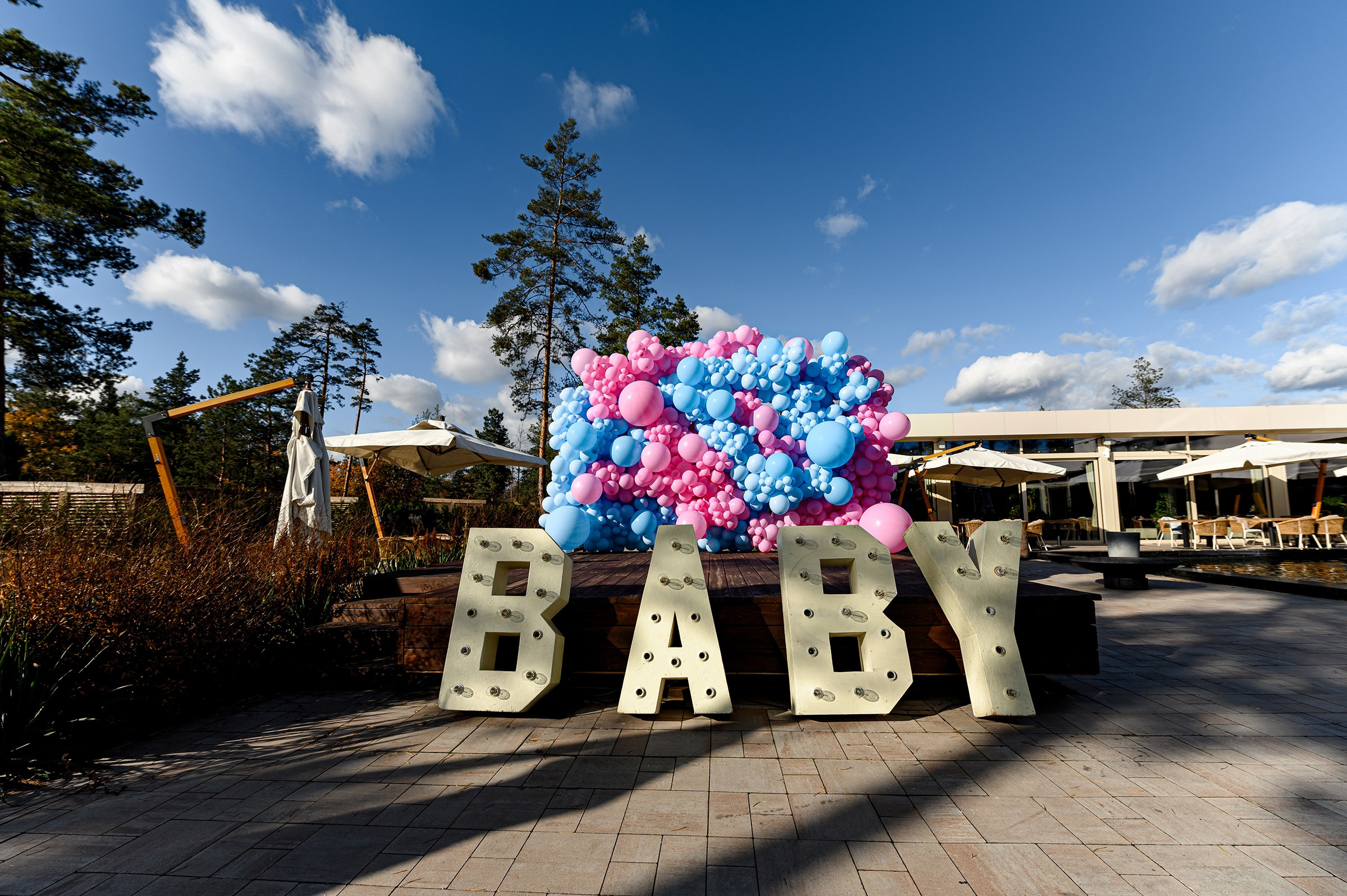«GENDER PARTY». Свадебный и семейный фотограф