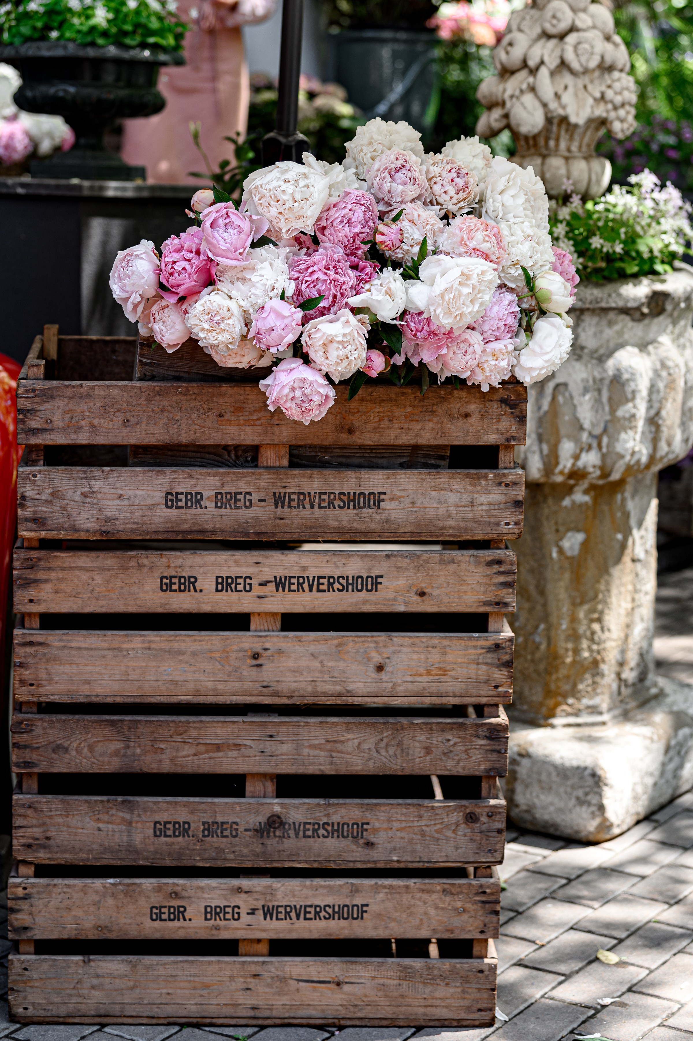" KLOVSKYSAD summer ". Свадебный и семейный фотограф