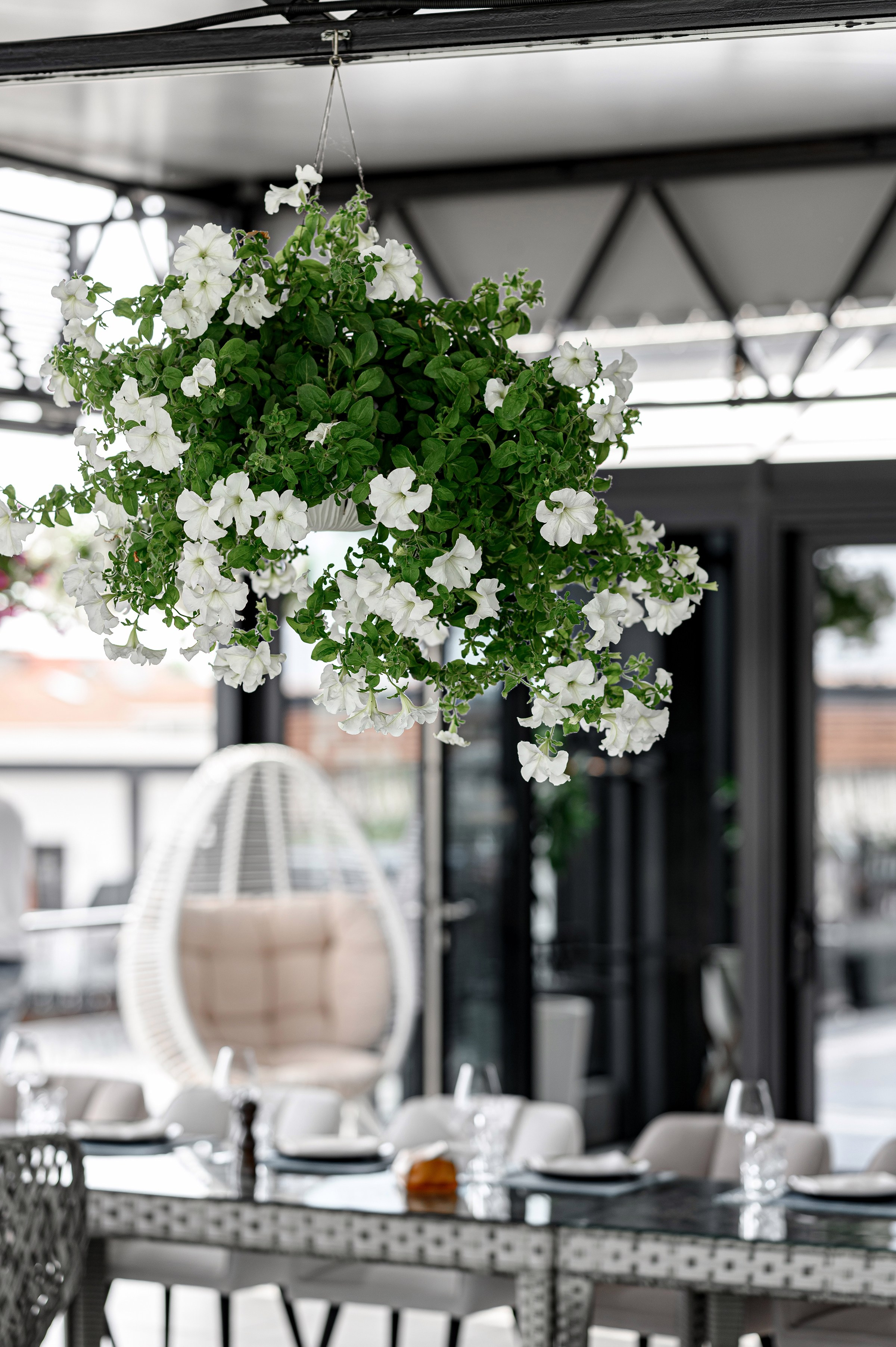 " Happy birthday, Osocor ". Свадебный и семейный фотограф