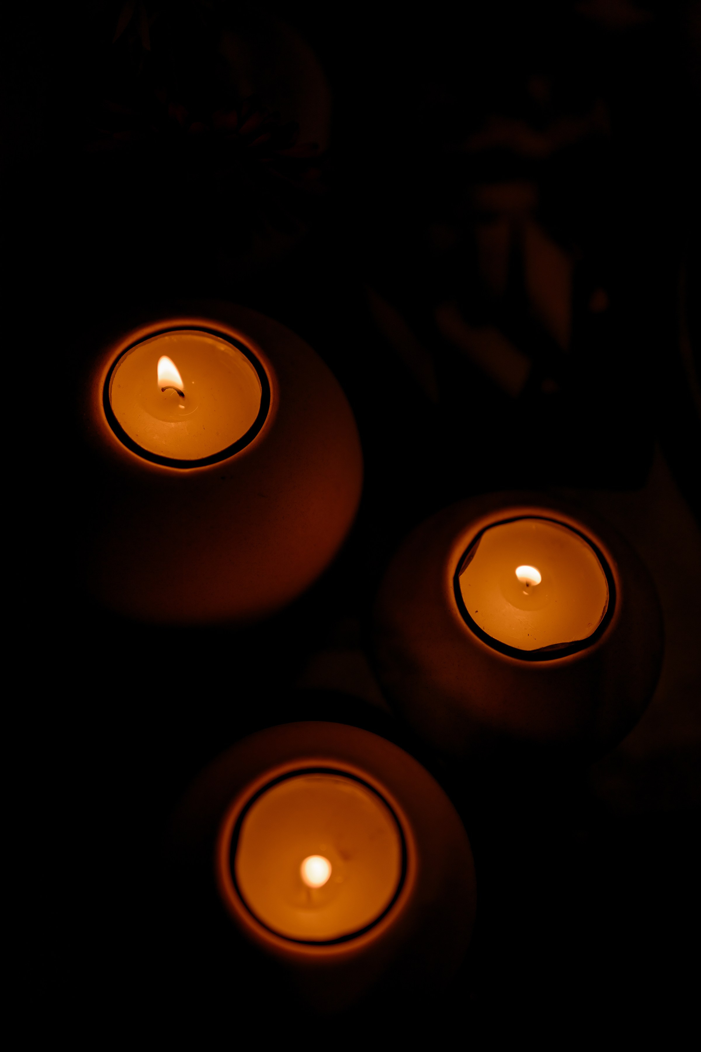 ОЛЕКСА & ЕЛІНА. Свадебный и семейный фотограф