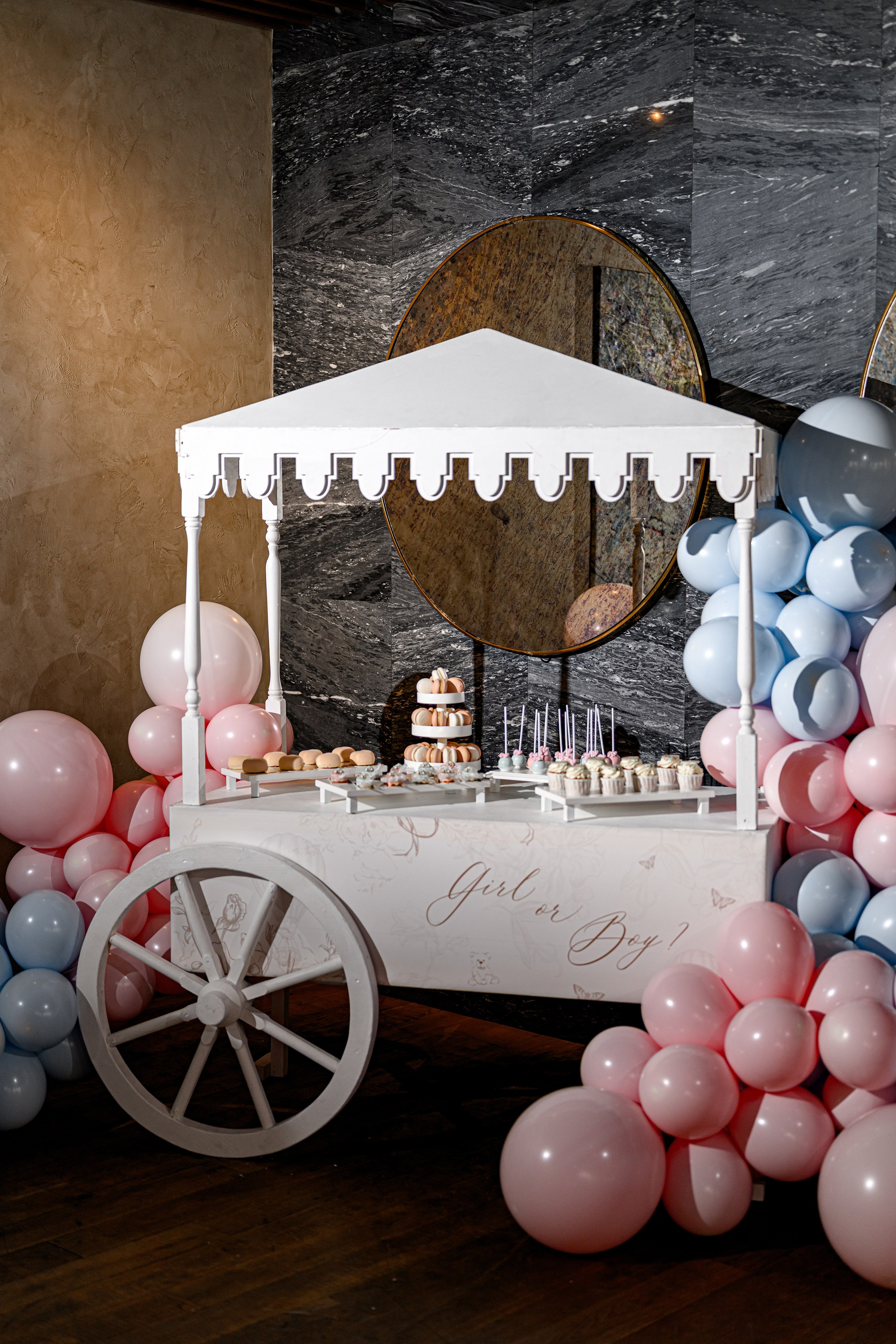 «GENDER PARTY». Свадебный и семейный фотограф