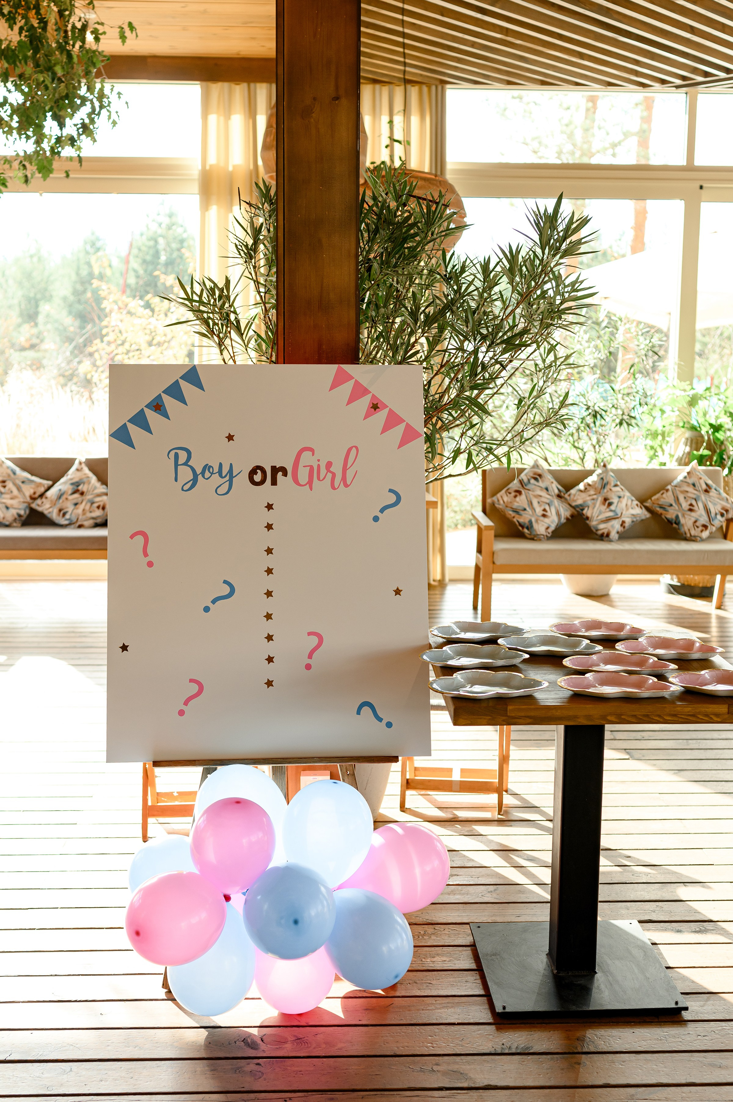 «GENDER PARTY». Свадебный и семейный фотограф