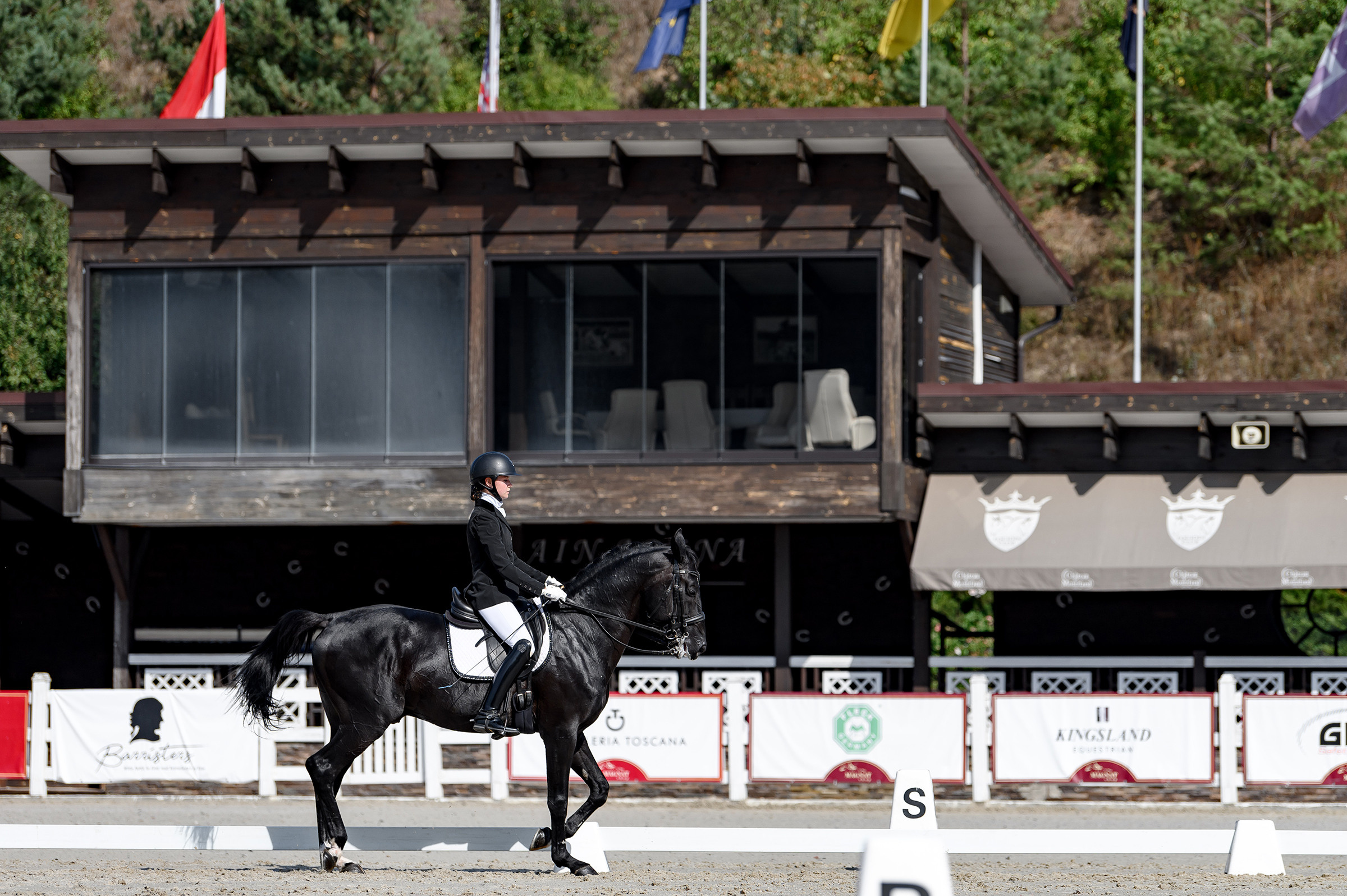 «DRESSAGE EQUIDES CUP 2023». Свадебный и семейный фотограф