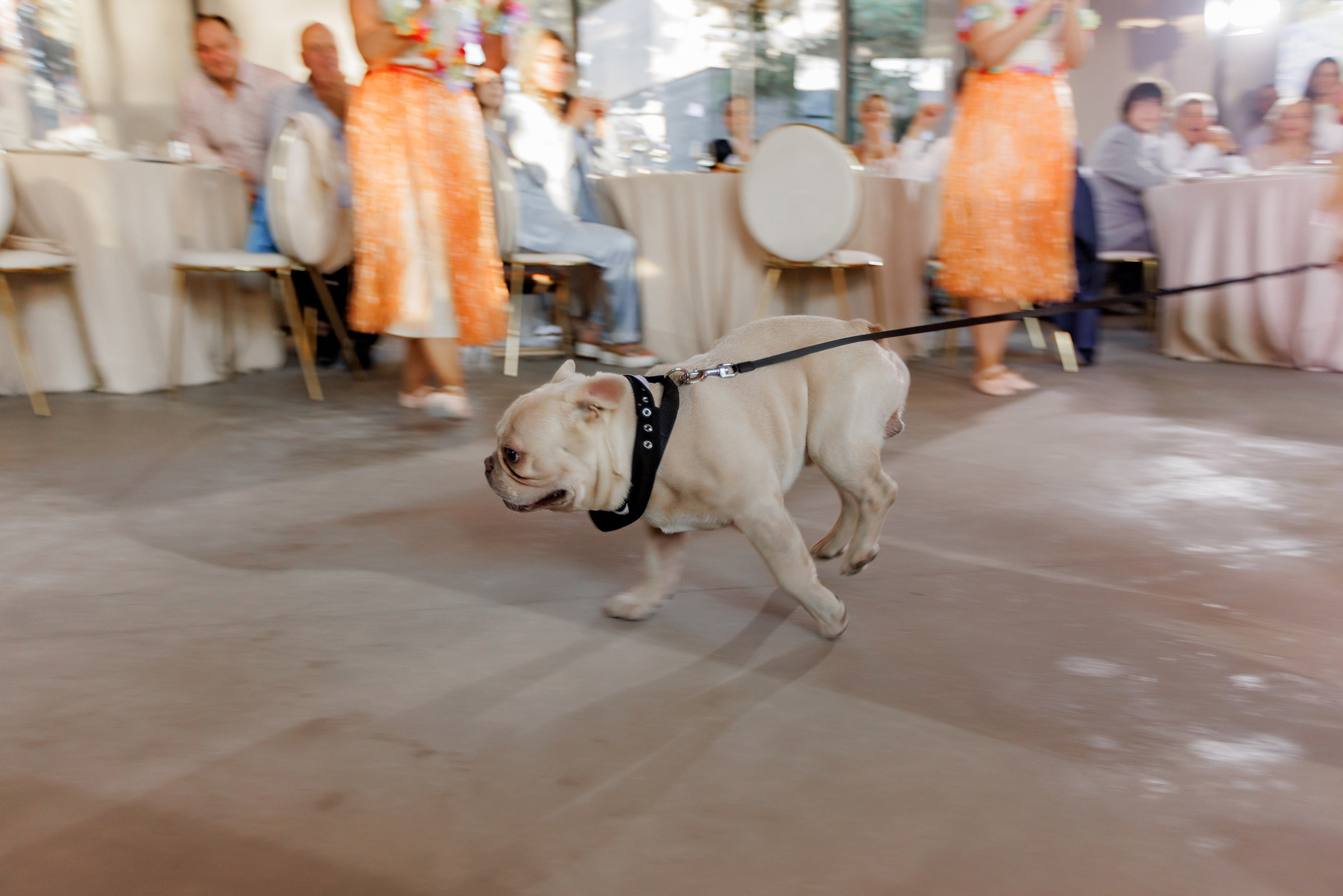 A & Z. Свадебный и семейный фотограф