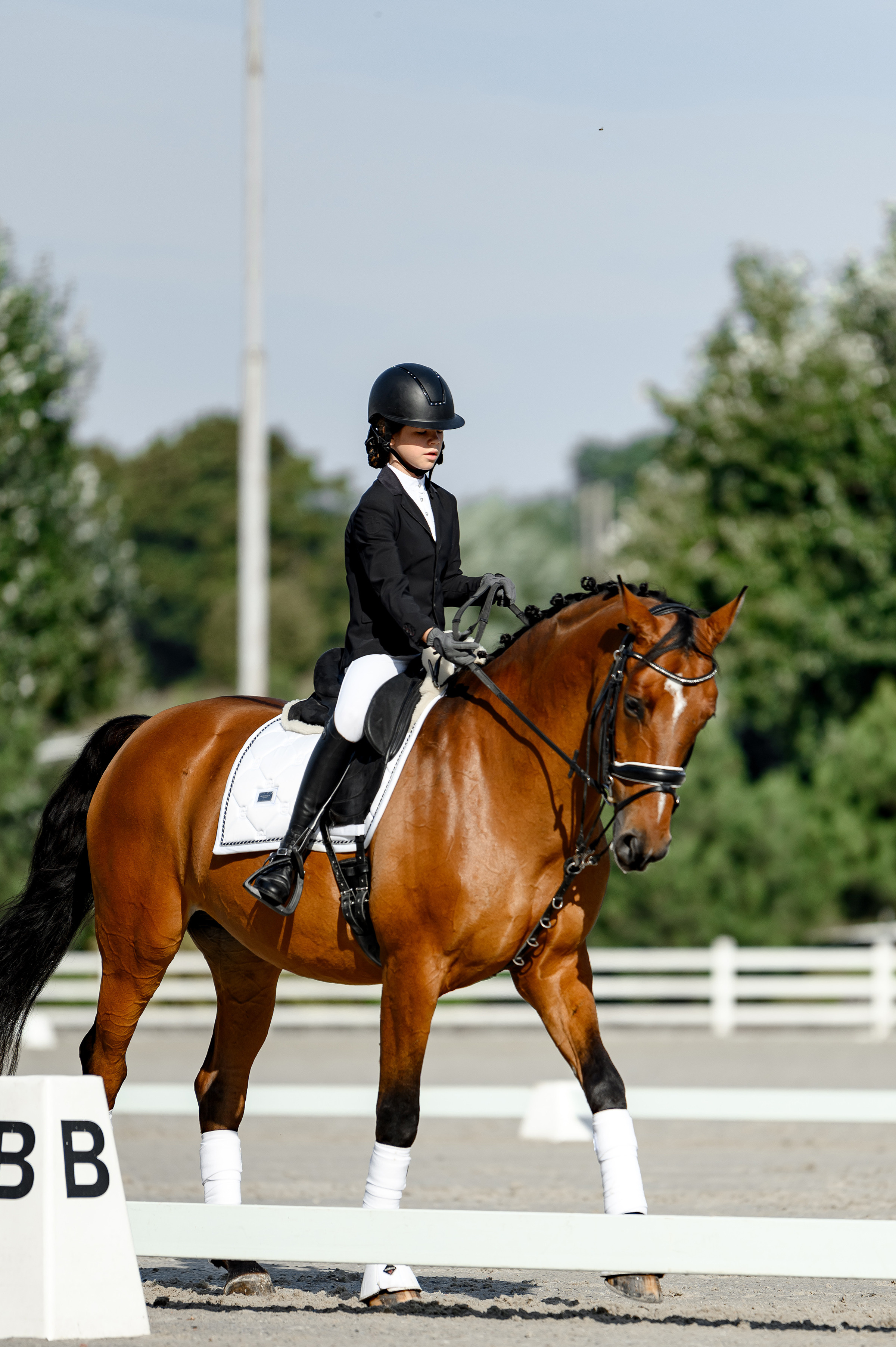 «DRESSAGE EQUIDES CUP 2023». Свадебный и семейный фотограф