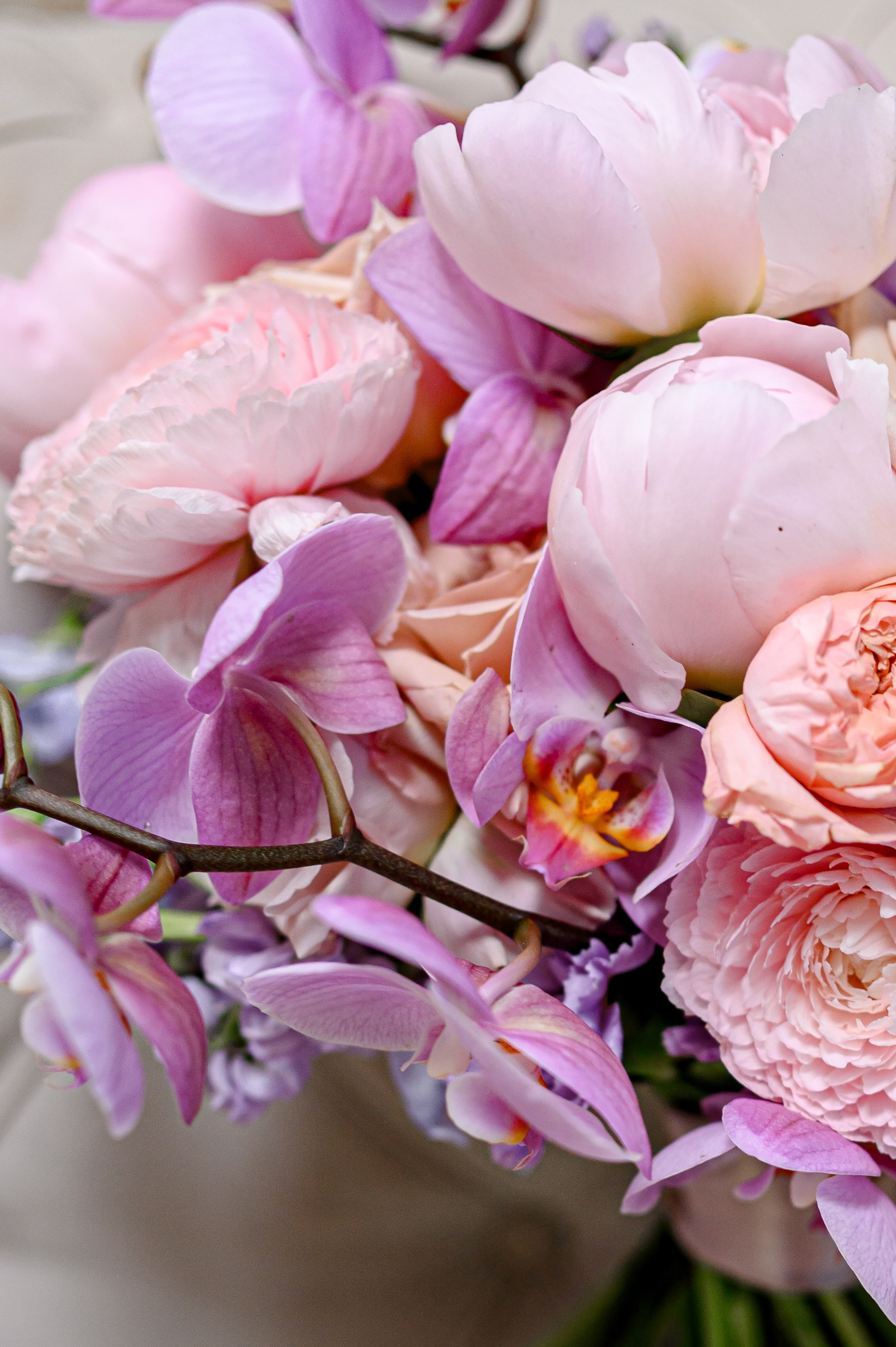 BOHDAN & ALEXANDRA. Свадебный и семейный фотограф