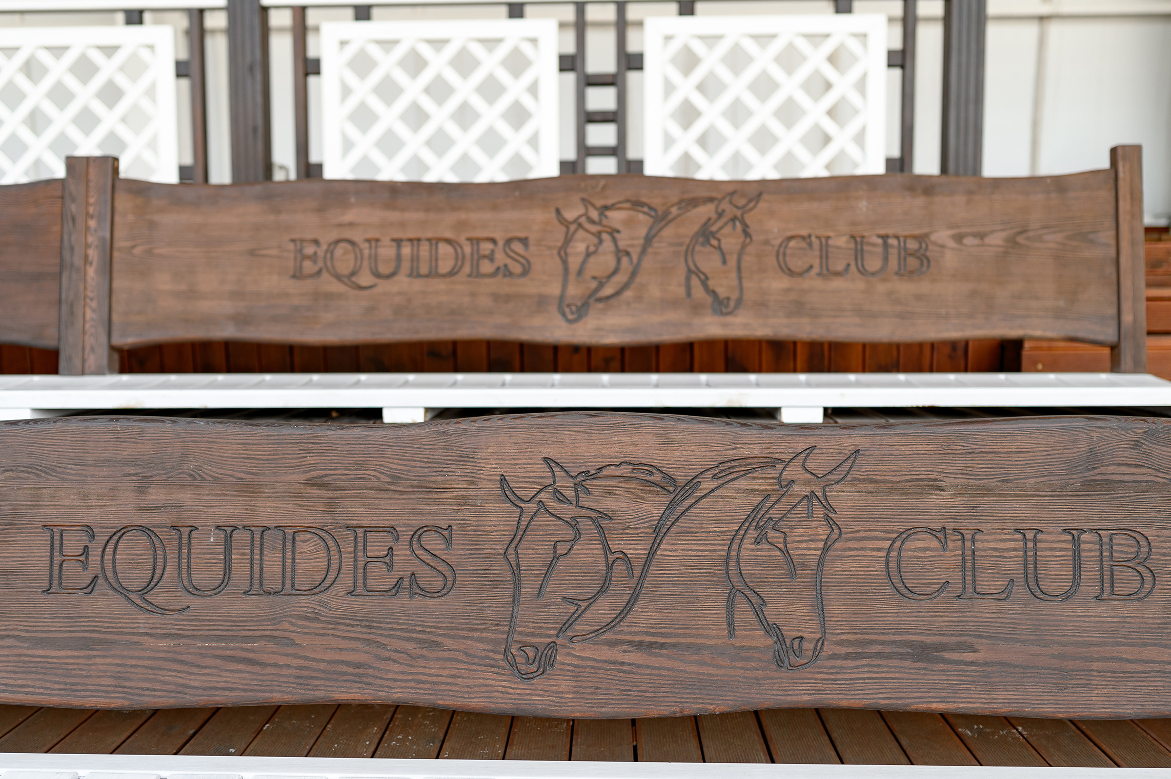 «DRESSAGE EQUIDES CUP 2023». Свадебный и семейный фотограф