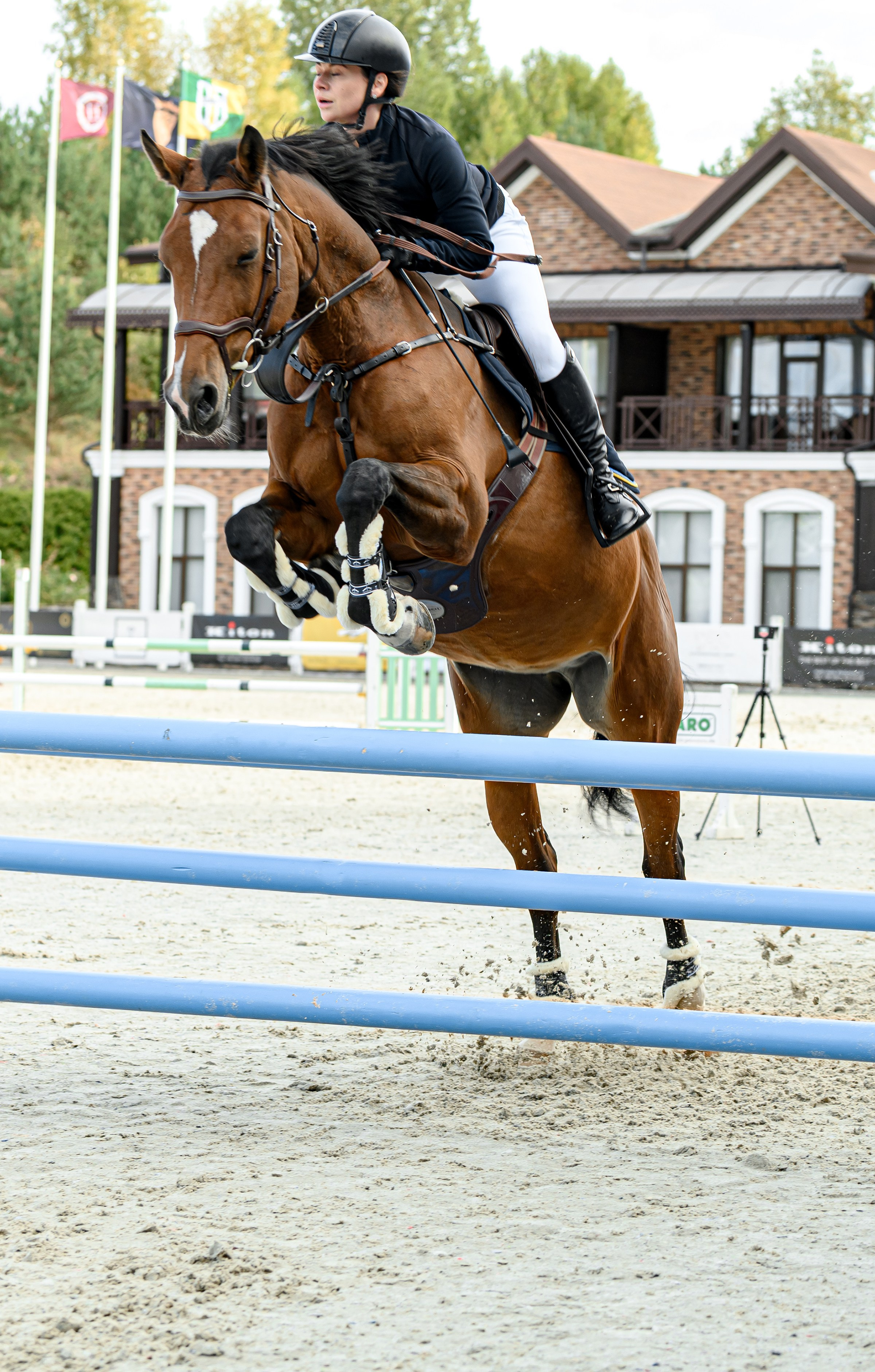 EQUIDES CUP 2023. Свадебный и семейный фотограф