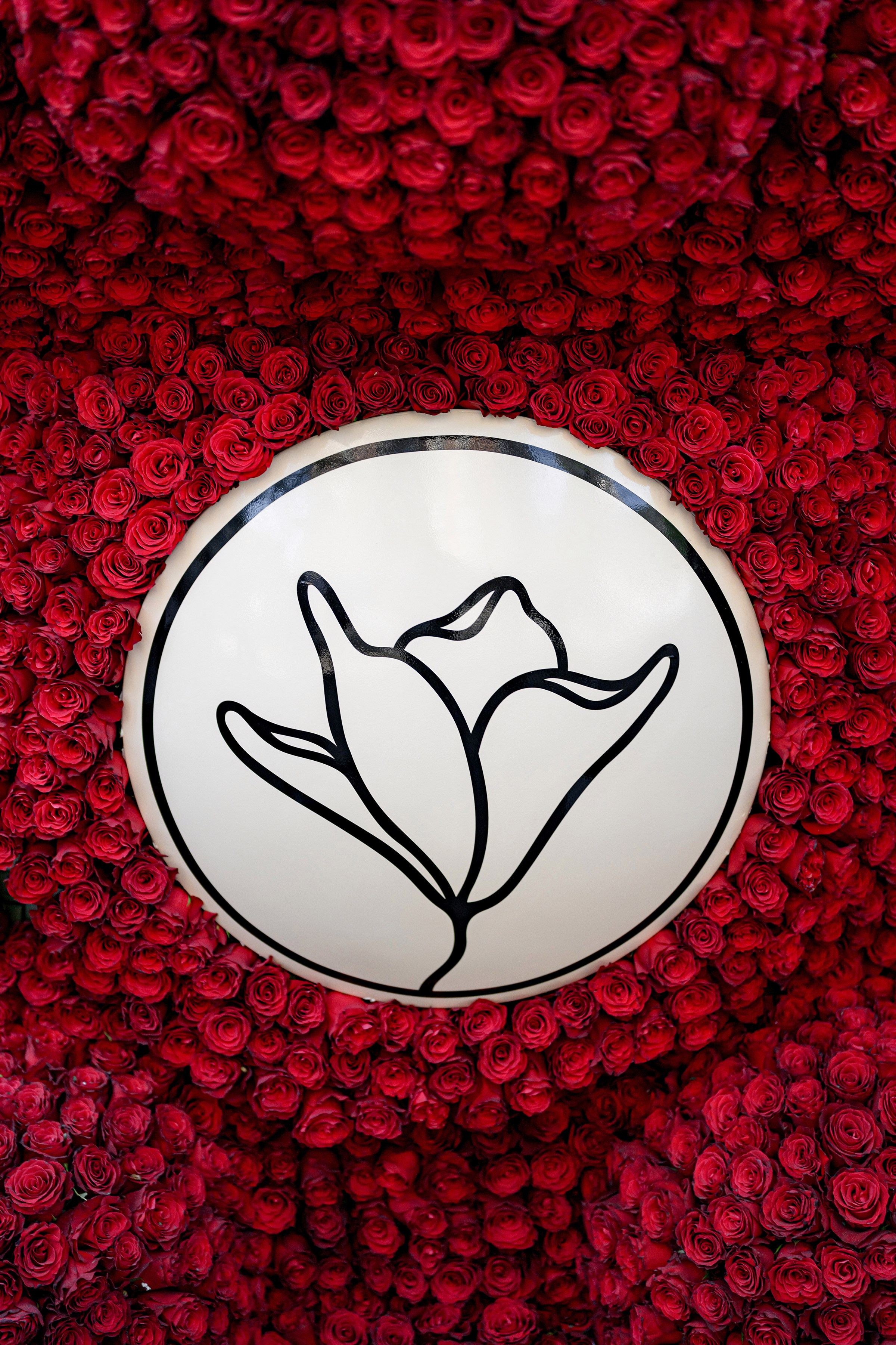 «FREESIA». Свадебный и семейный фотограф