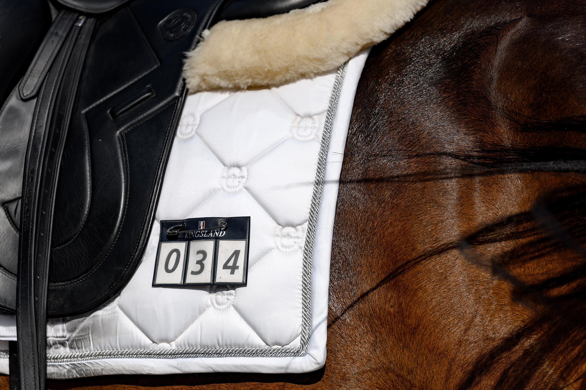 «DRESSAGE EQUIDES CUP 2023». Свадебный и семейный фотограф