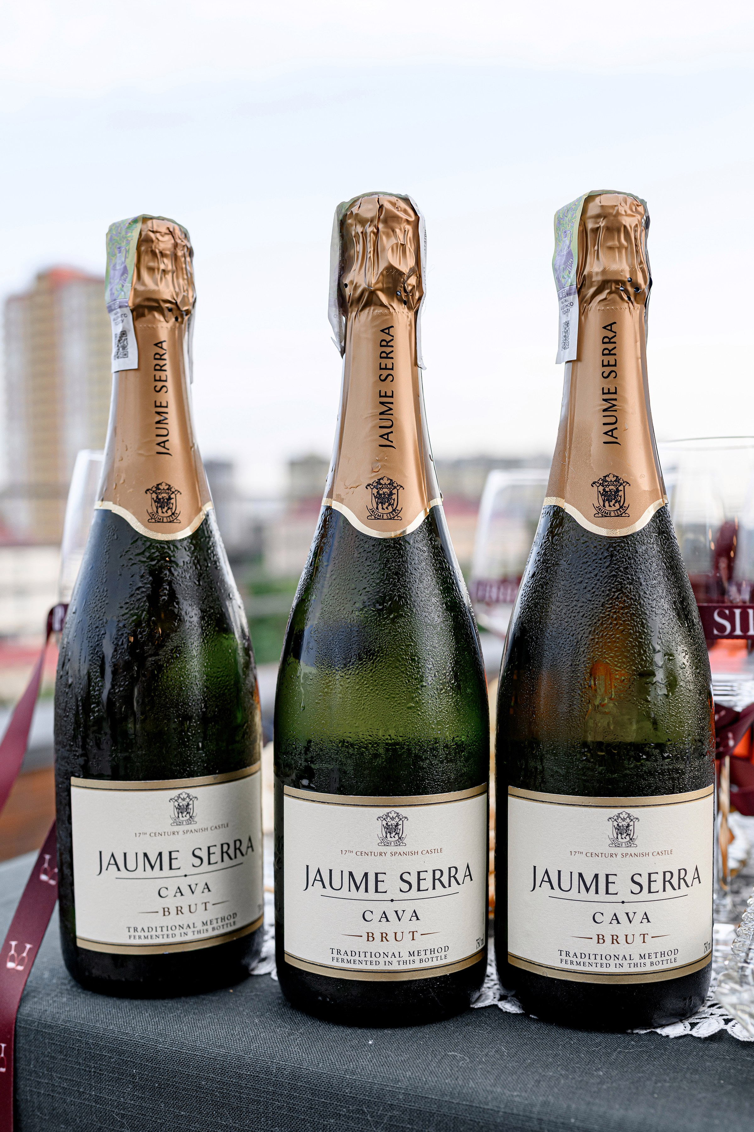 «SIP & TRIP». Свадебный и семейный фотограф