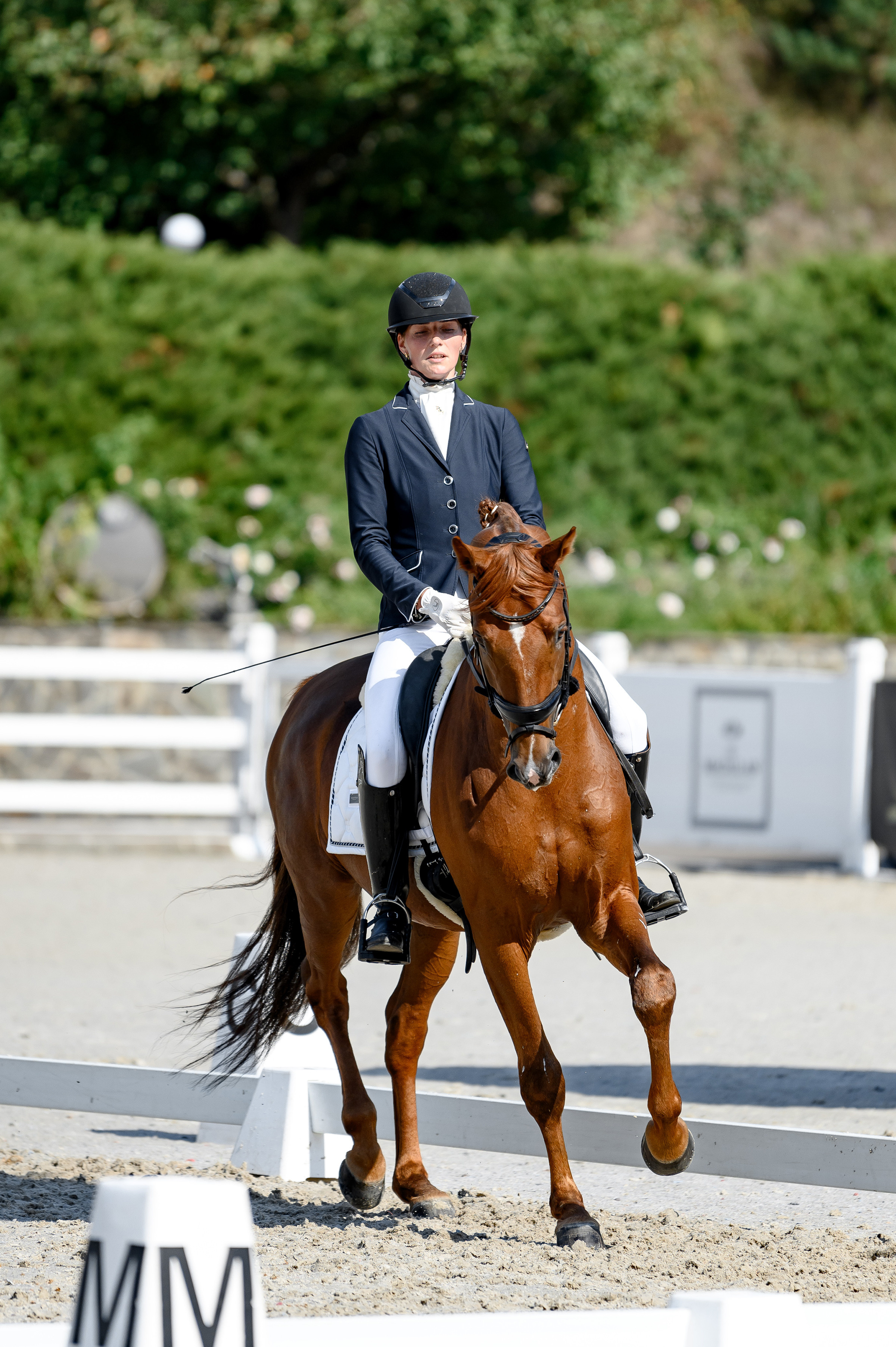 «DRESSAGE EQUIDES CUP 2023». Свадебный и семейный фотограф