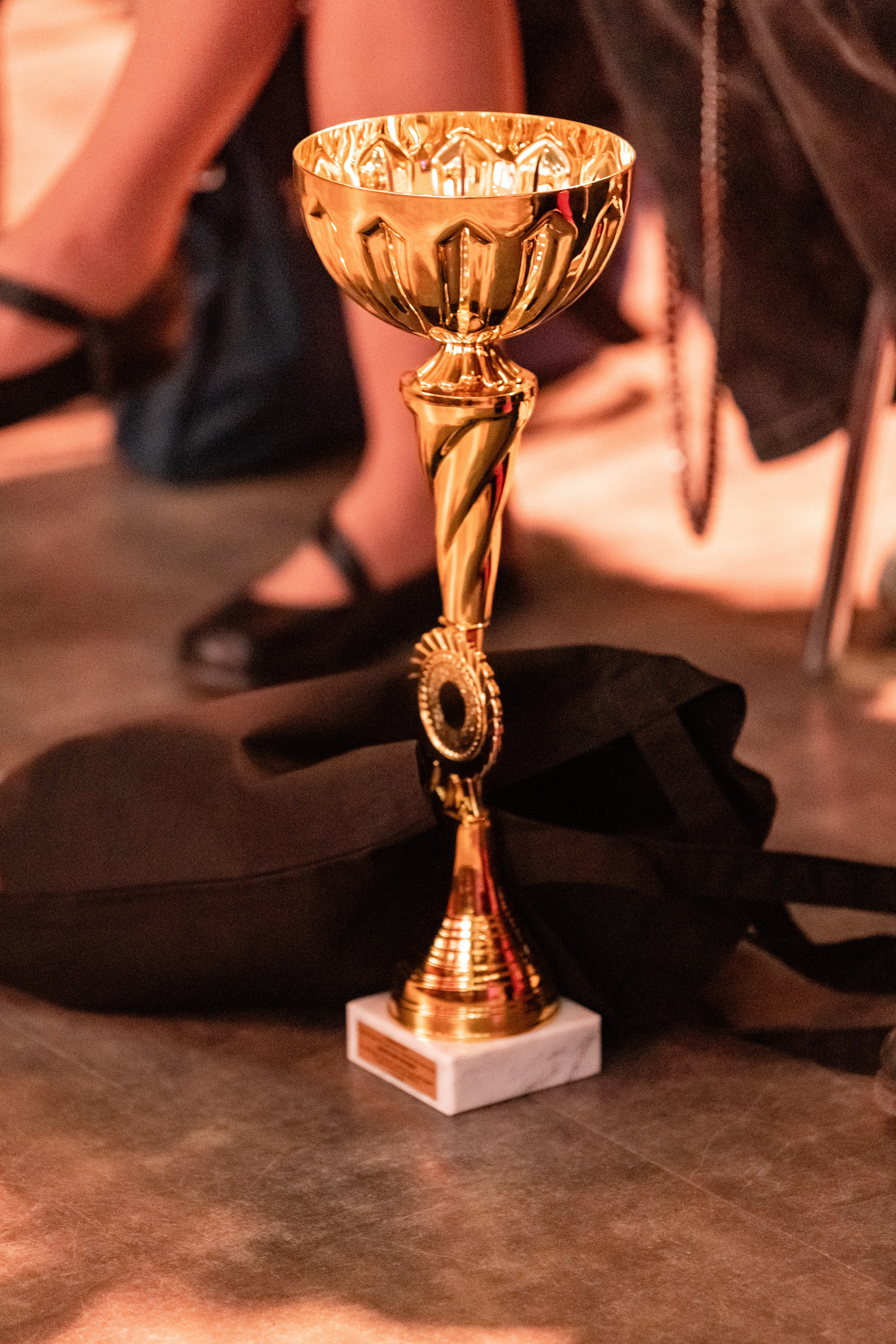 «CHAMPION FEST 2025». Свадебный и семейный фотограф