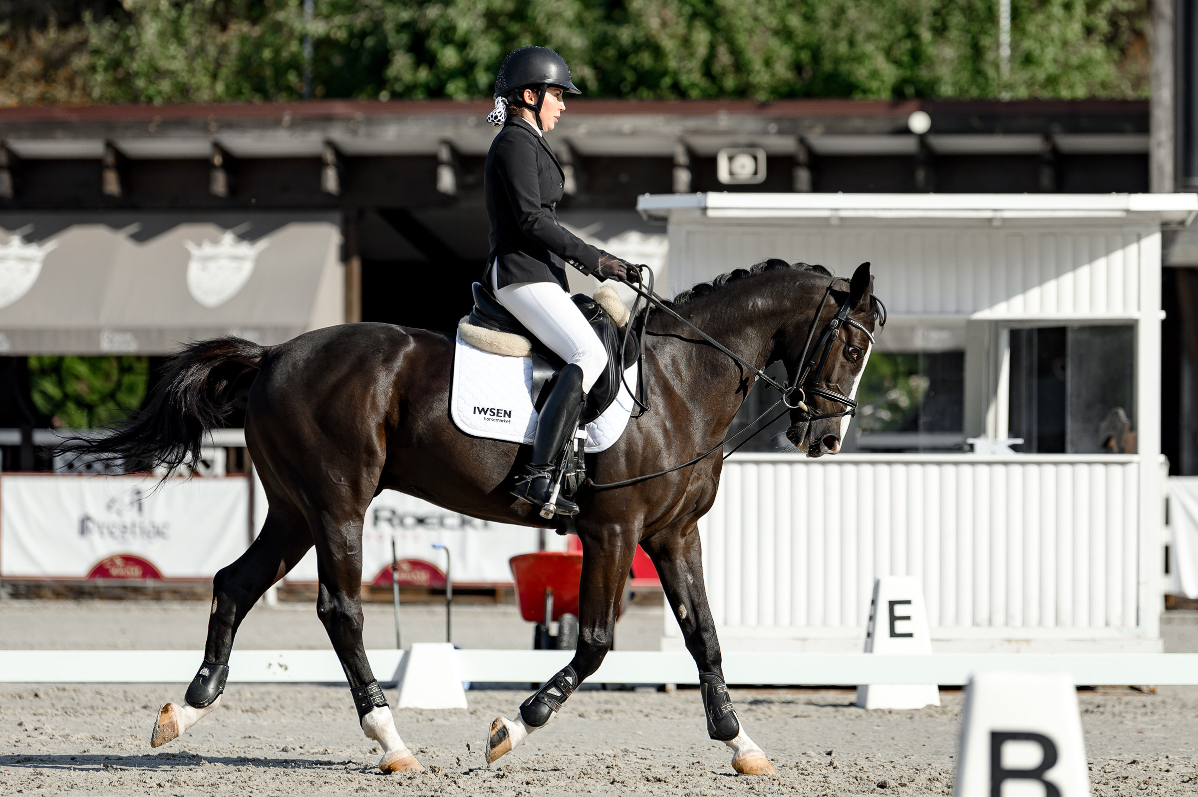 «DRESSAGE EQUIDES CUP 2023». Свадебный и семейный фотограф