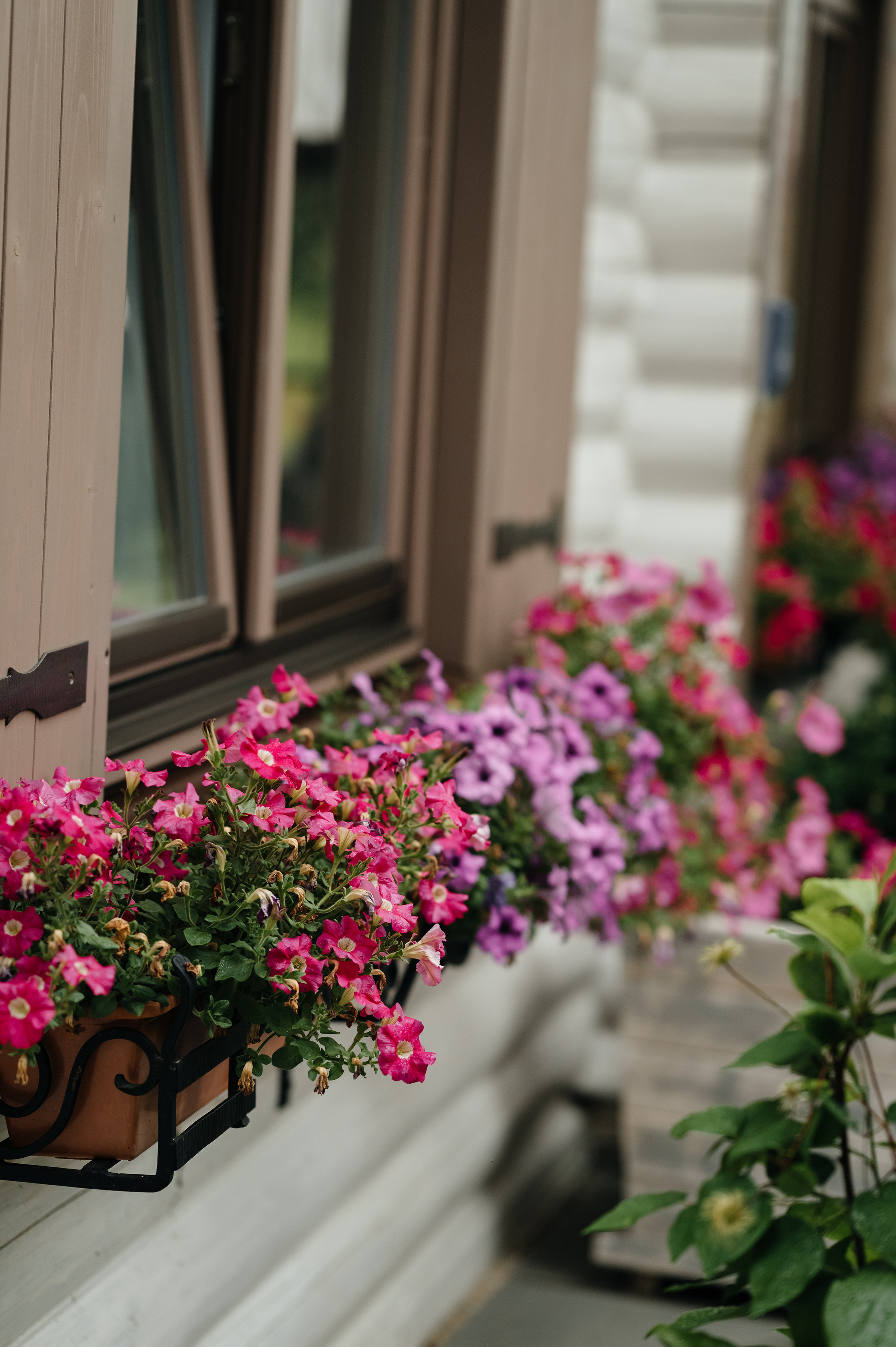 Ігор & Марія. Свадебный и семейный фотограф