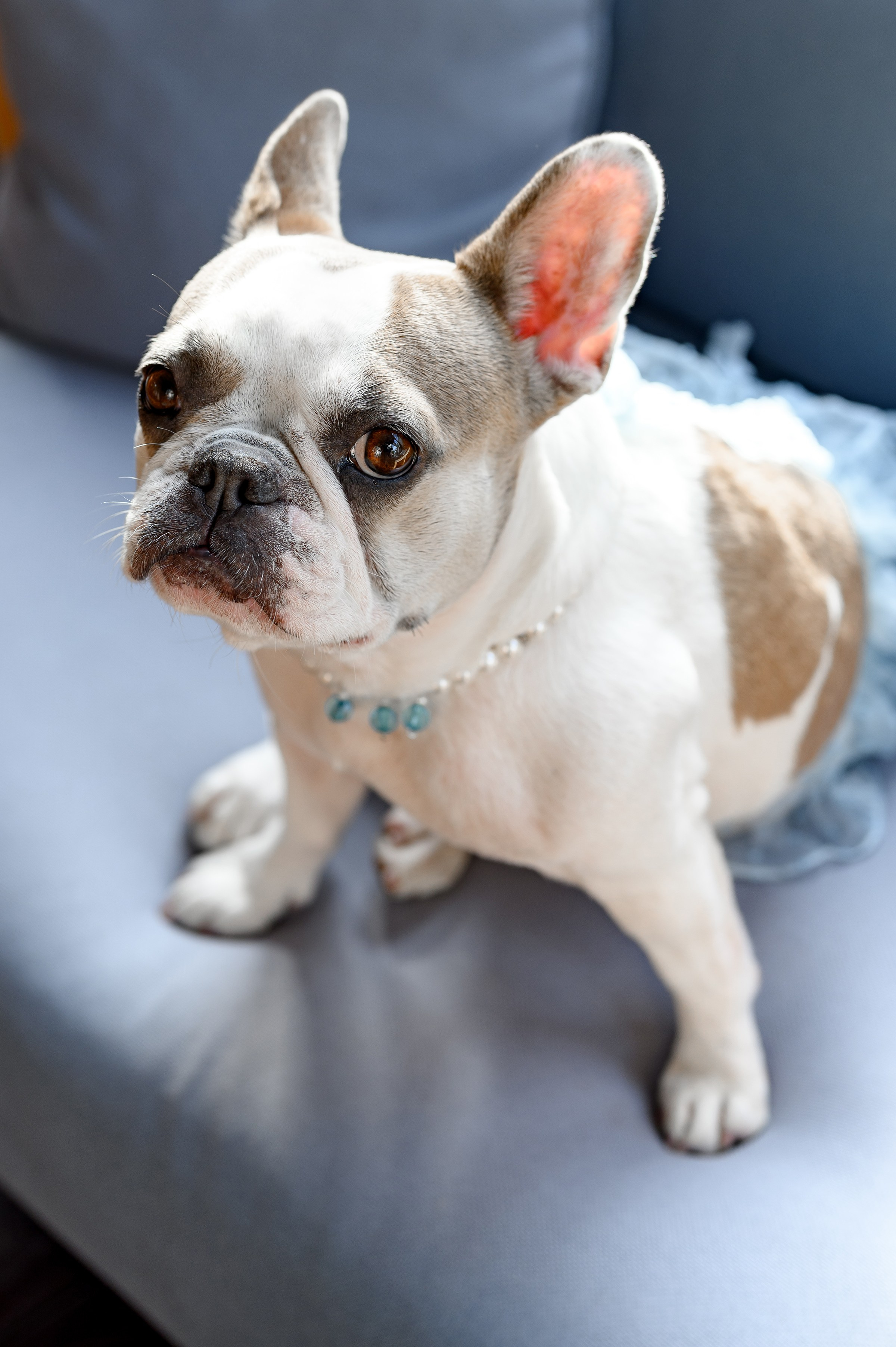 '' HAPPY BIRTHDAY ''. Свадебный и семейный фотограф