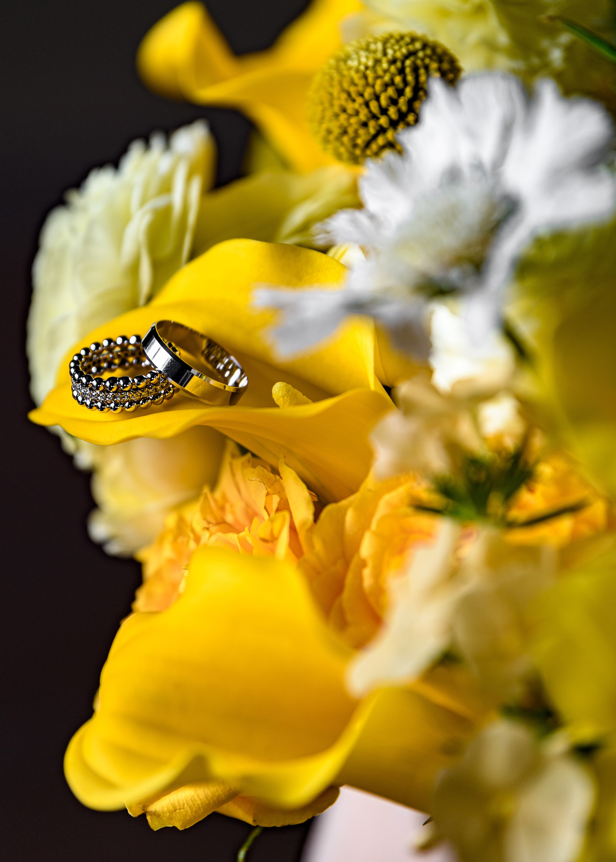 ОЛЕКСІЙ & ЯРОСЛАВА. Свадебный и семейный фотограф