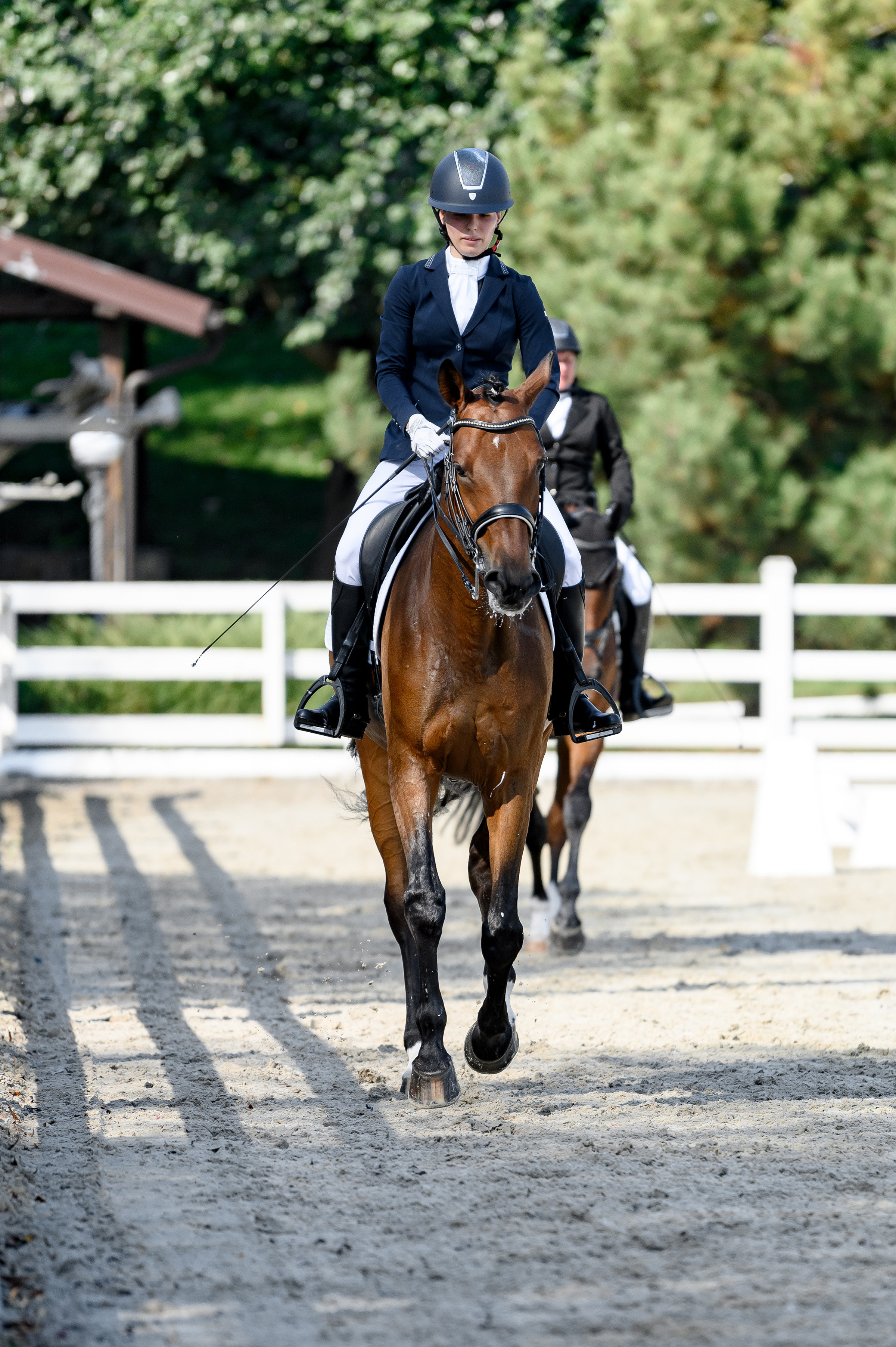 «DRESSAGE EQUIDES CUP 2023». Свадебный и семейный фотограф