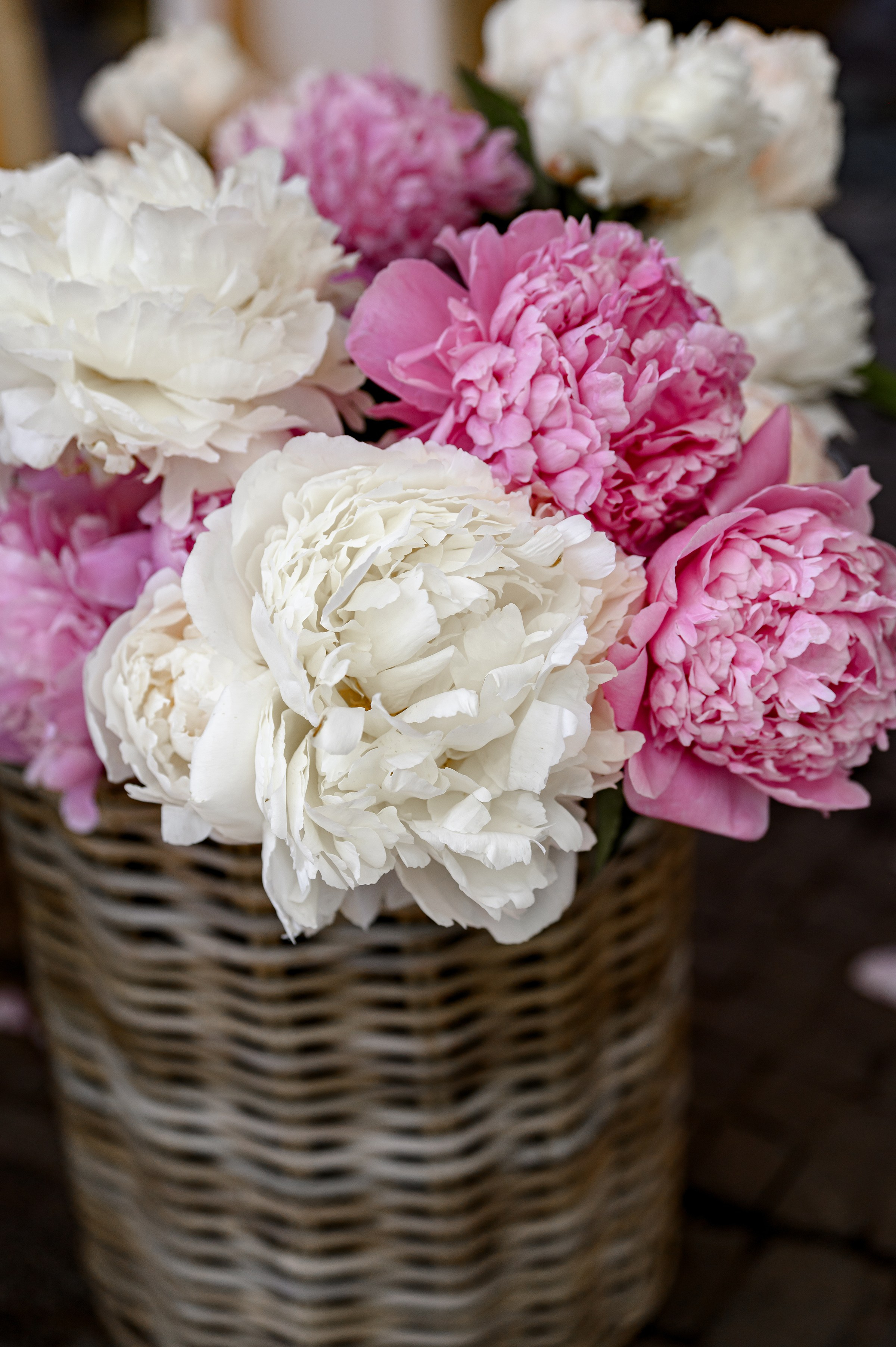 " KLOVSKYSAD summer ". Свадебный и семейный фотограф