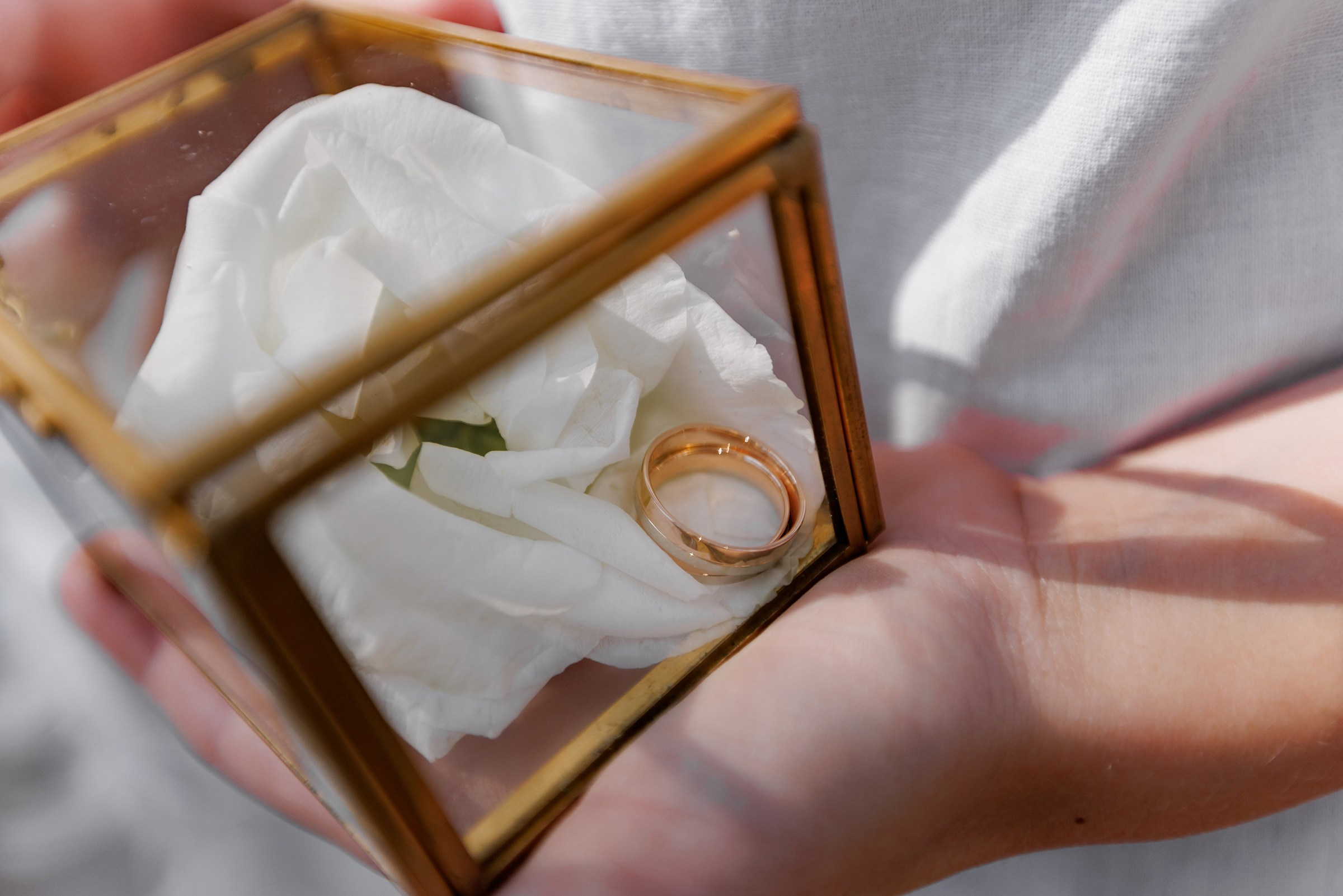 ANNA & BORIS. Свадебный и семейный фотограф