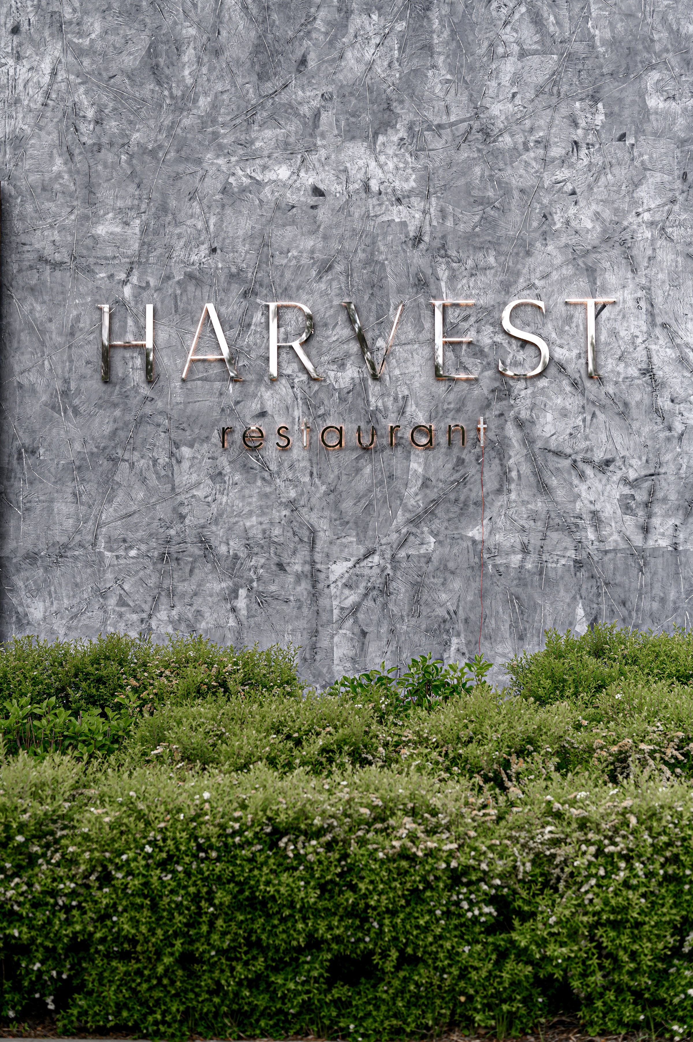 ОЛЕКСА & ЕЛІНА. Свадебный и семейный фотограф