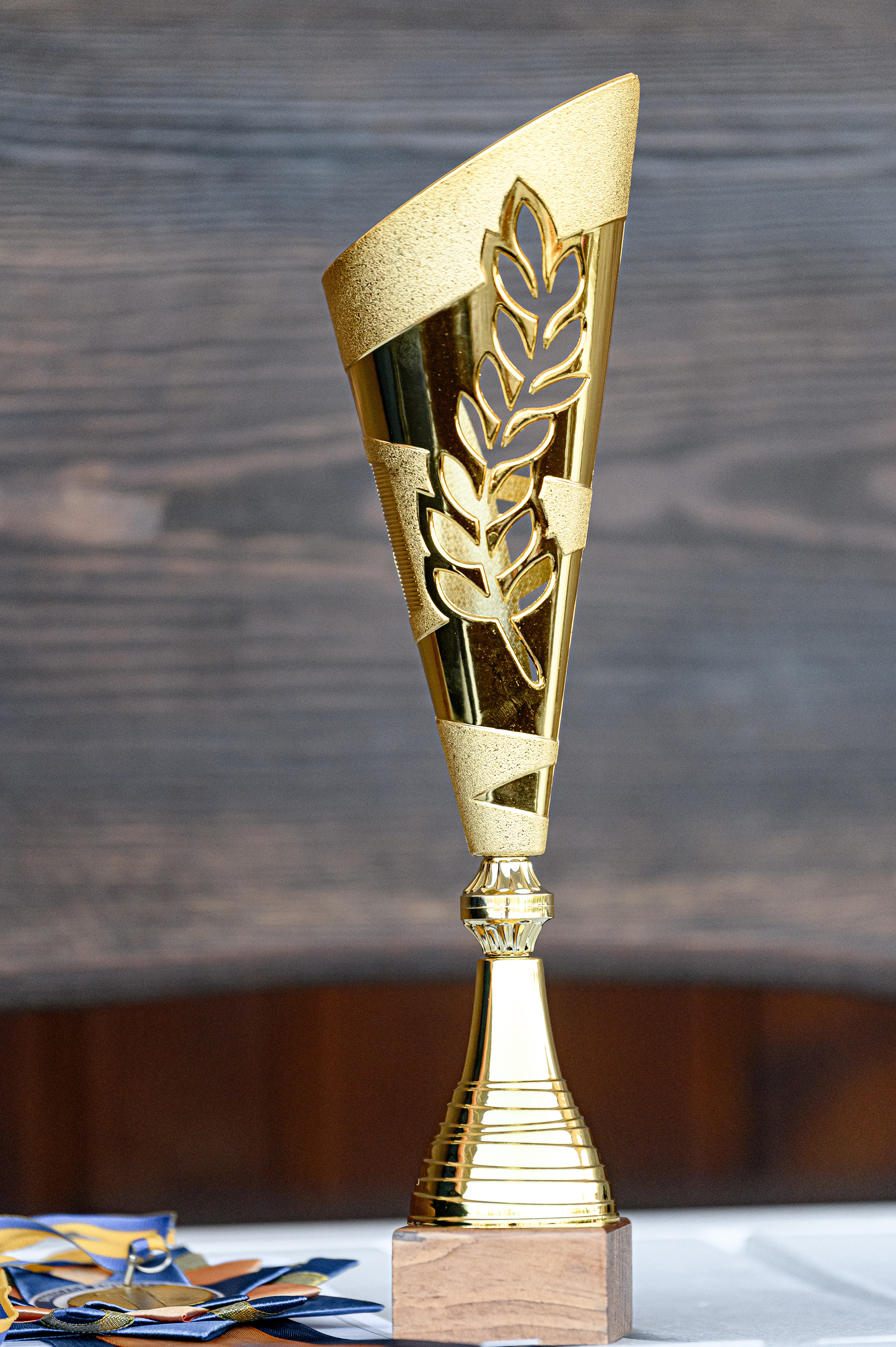 «DRESSAGE EQUIDES CUP 2023». Свадебный и семейный фотограф