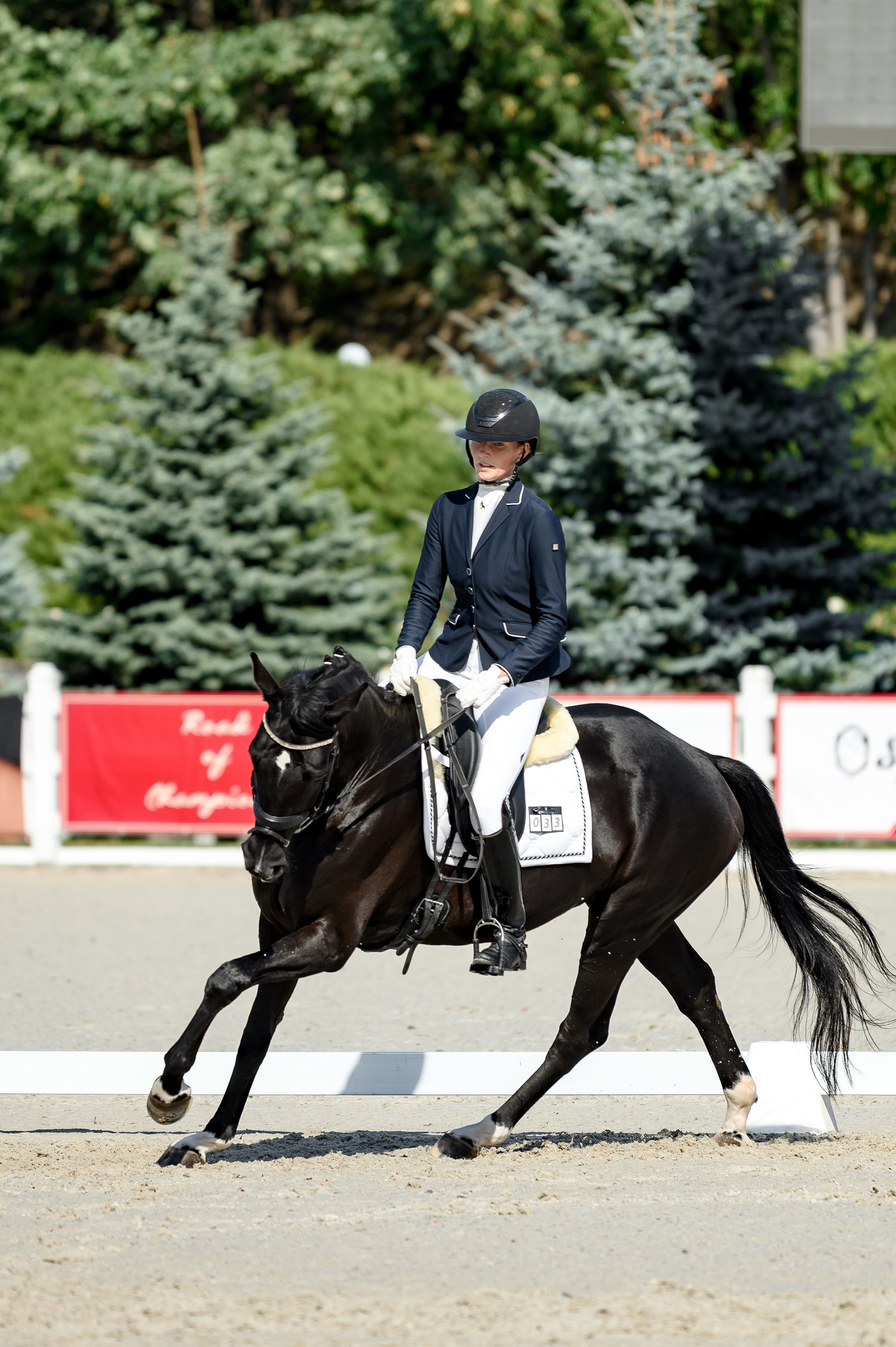 «DRESSAGE EQUIDES CUP 2023». Свадебный и семейный фотограф