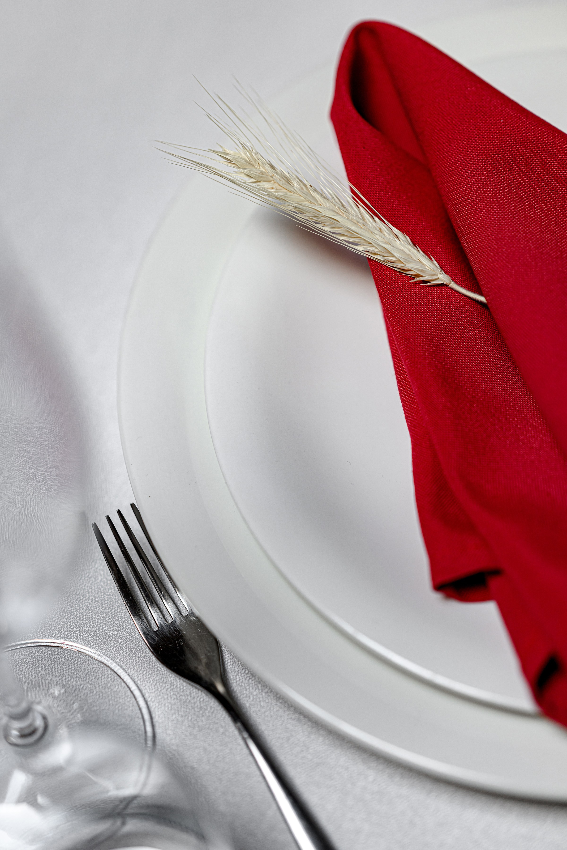 ОЛЕКСА & ЕЛІНА. Свадебный и семейный фотограф