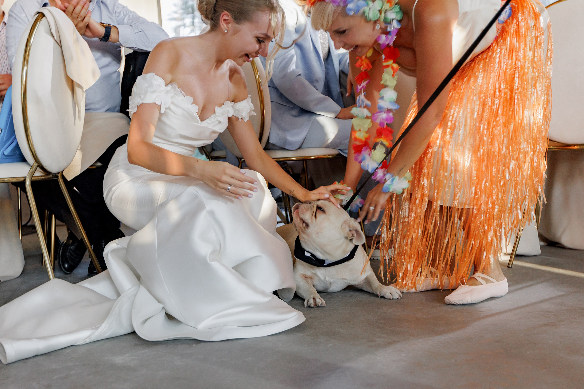 A & Z. Свадебный и семейный фотограф