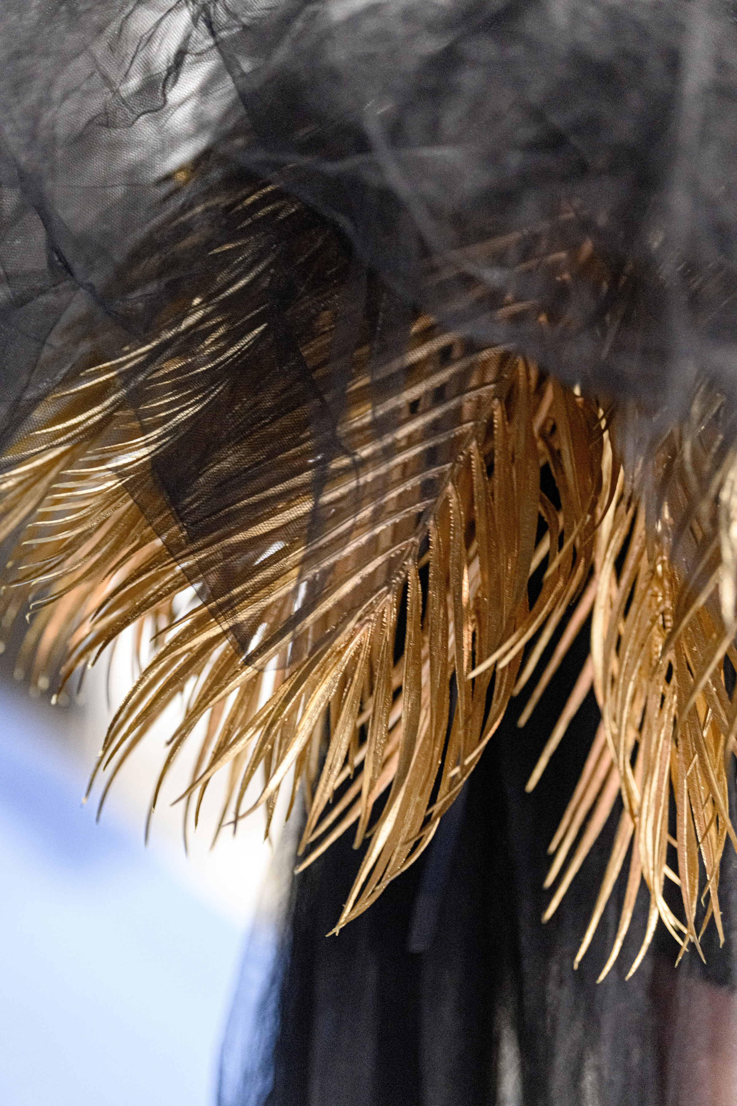 «CHAMPION FEST 2025». Свадебный и семейный фотограф