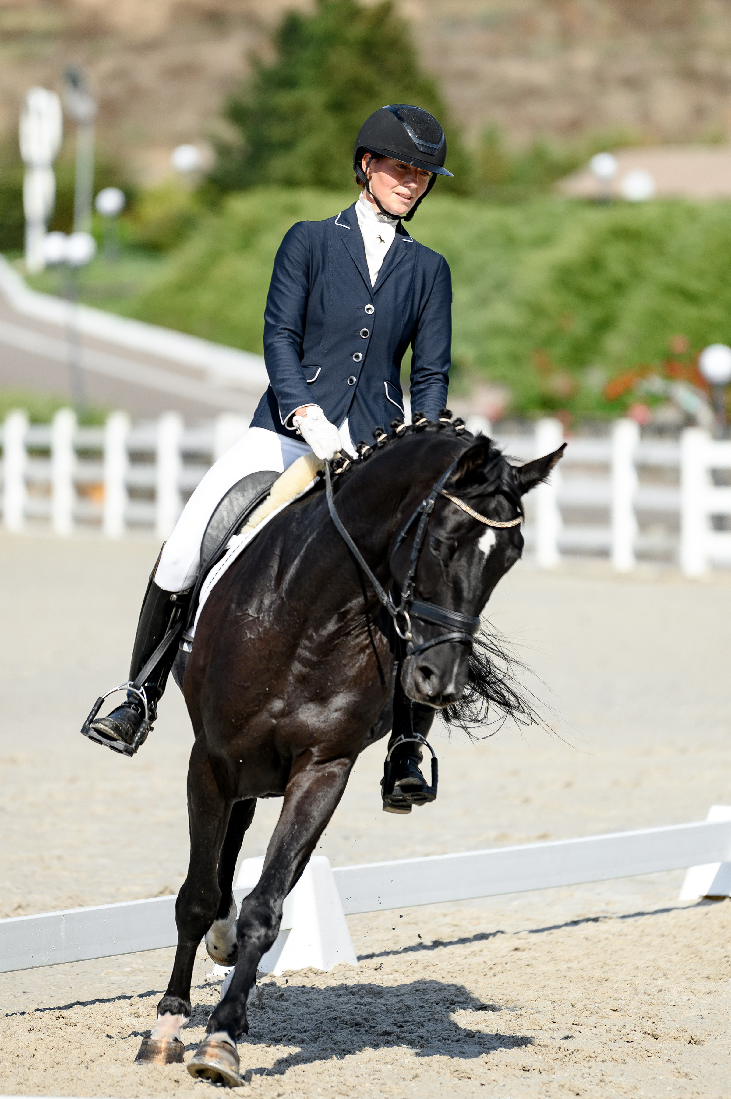 «DRESSAGE EQUIDES CUP 2023». Свадебный и семейный фотограф
