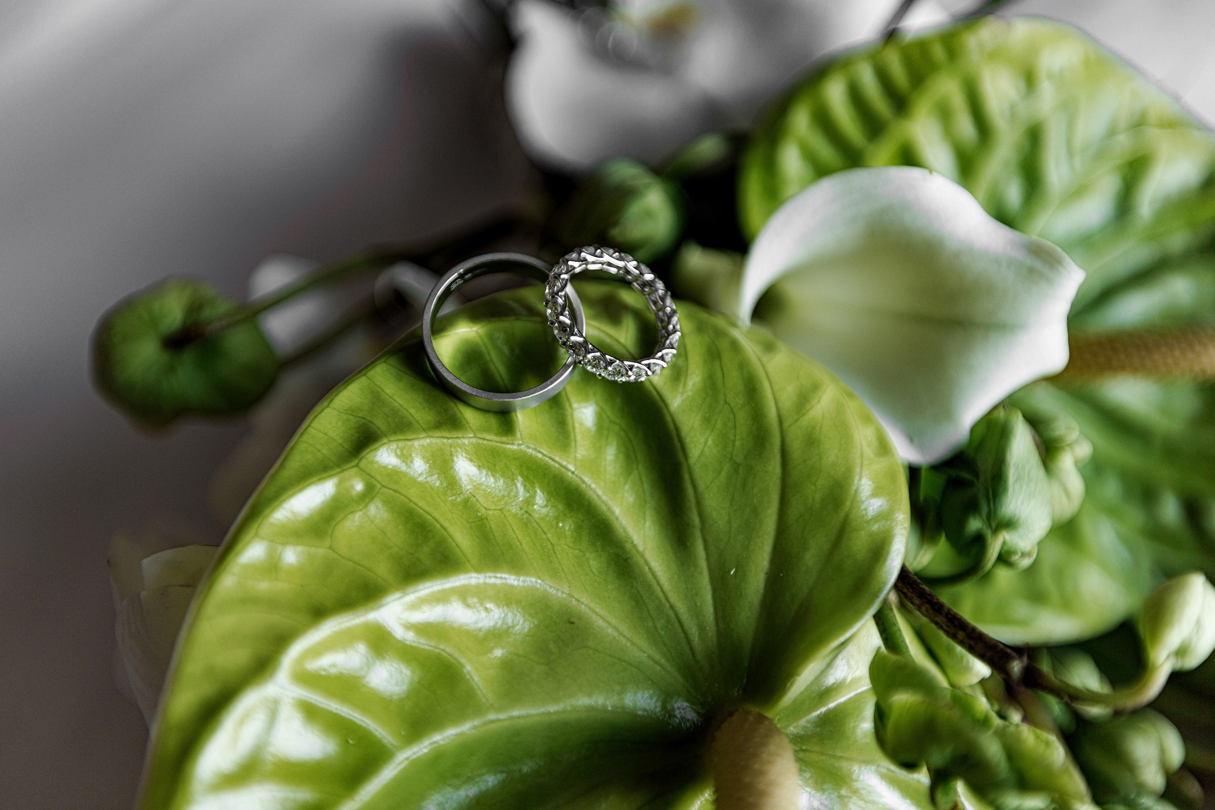 ОЛЕКСІЙ & ДІАНА. Свадебный и семейный фотограф