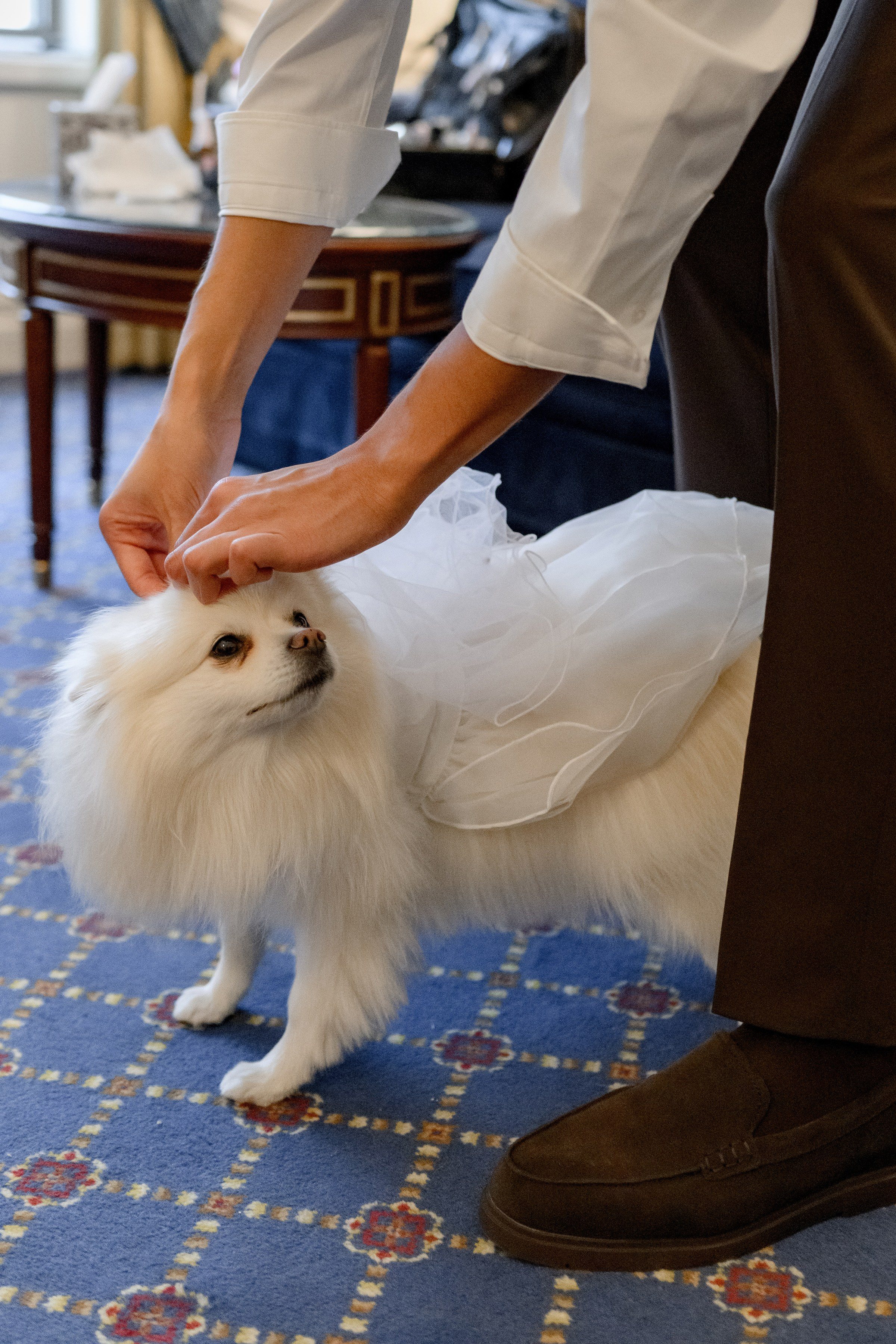 Yaroslav & Anna. Свадебный и семейный фотограф