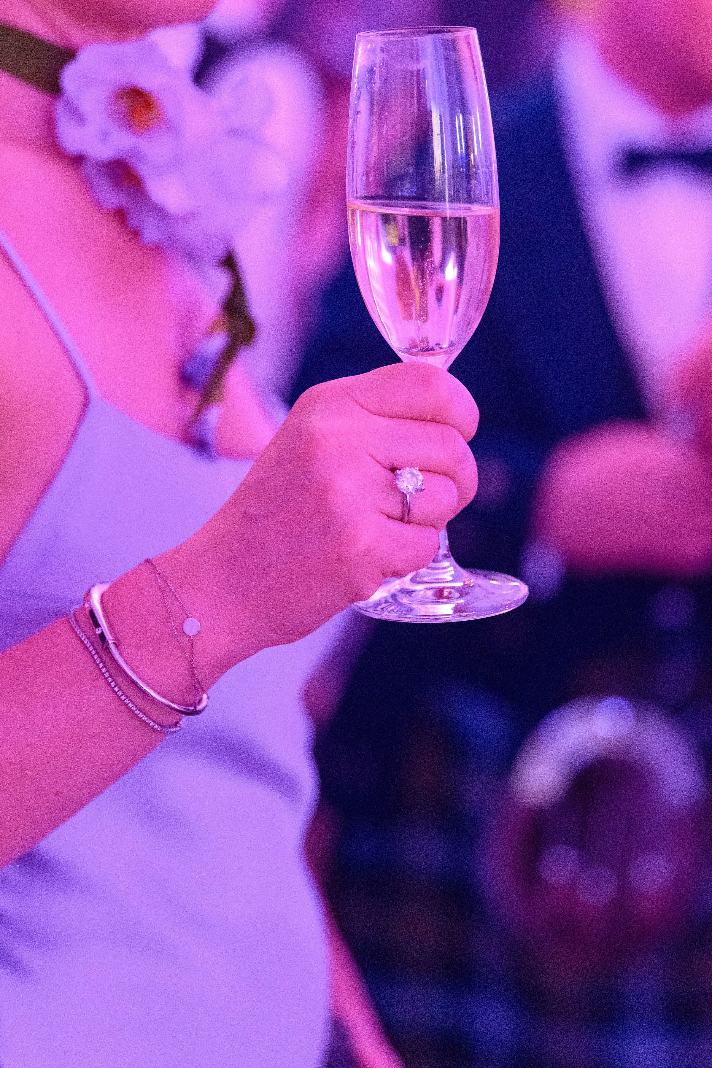 " Viennese Ball Kyiv ". Свадебный и семейный фотограф