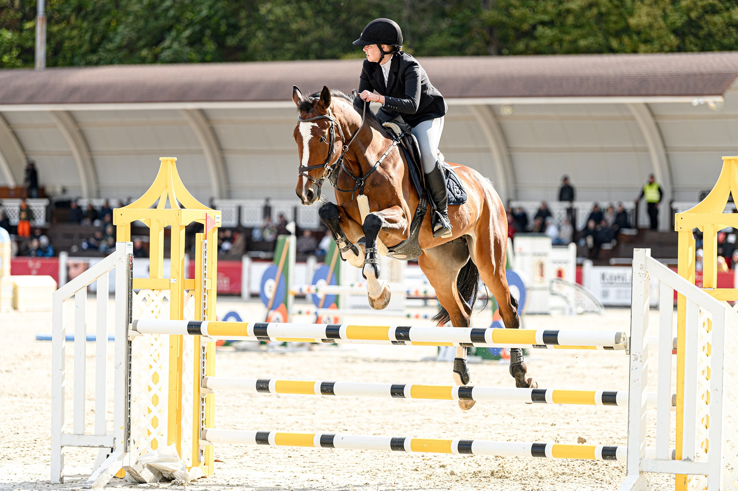 EQUIDES CUP 2023. Свадебный и семейный фотограф