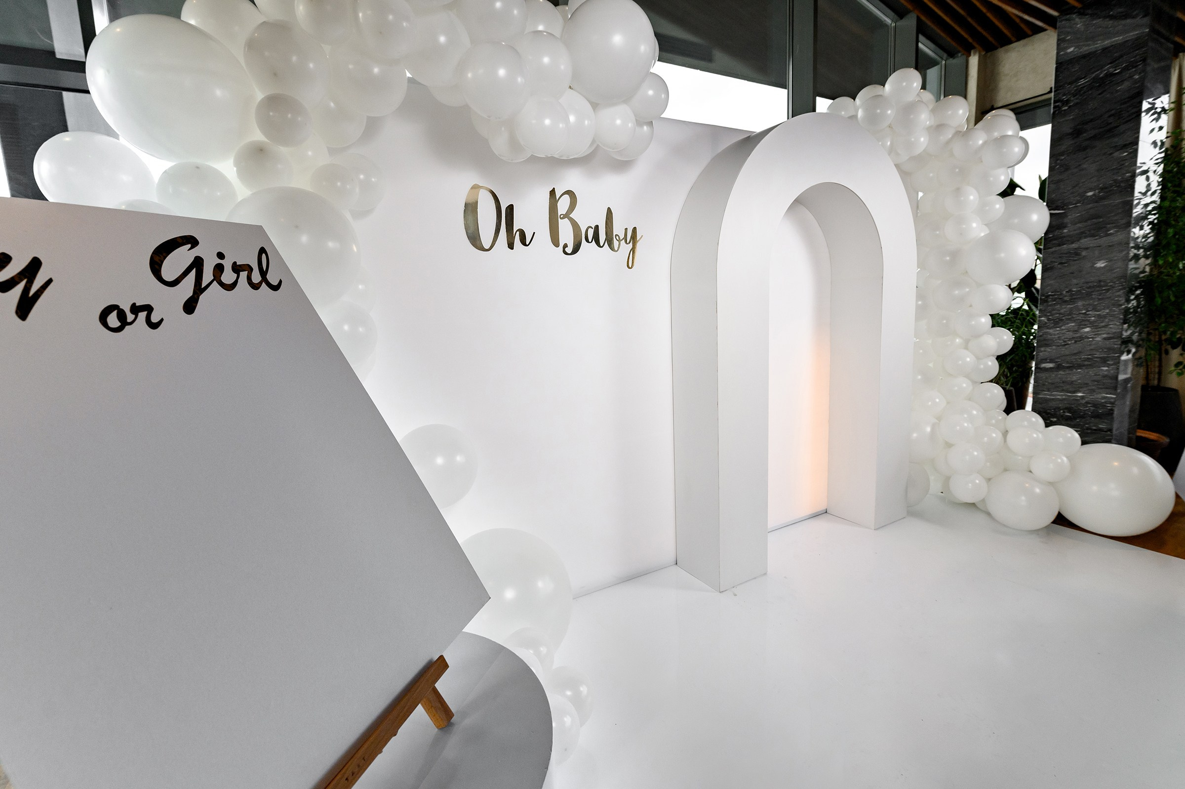 «Gender Party» B & N. Свадебный и семейный фотограф