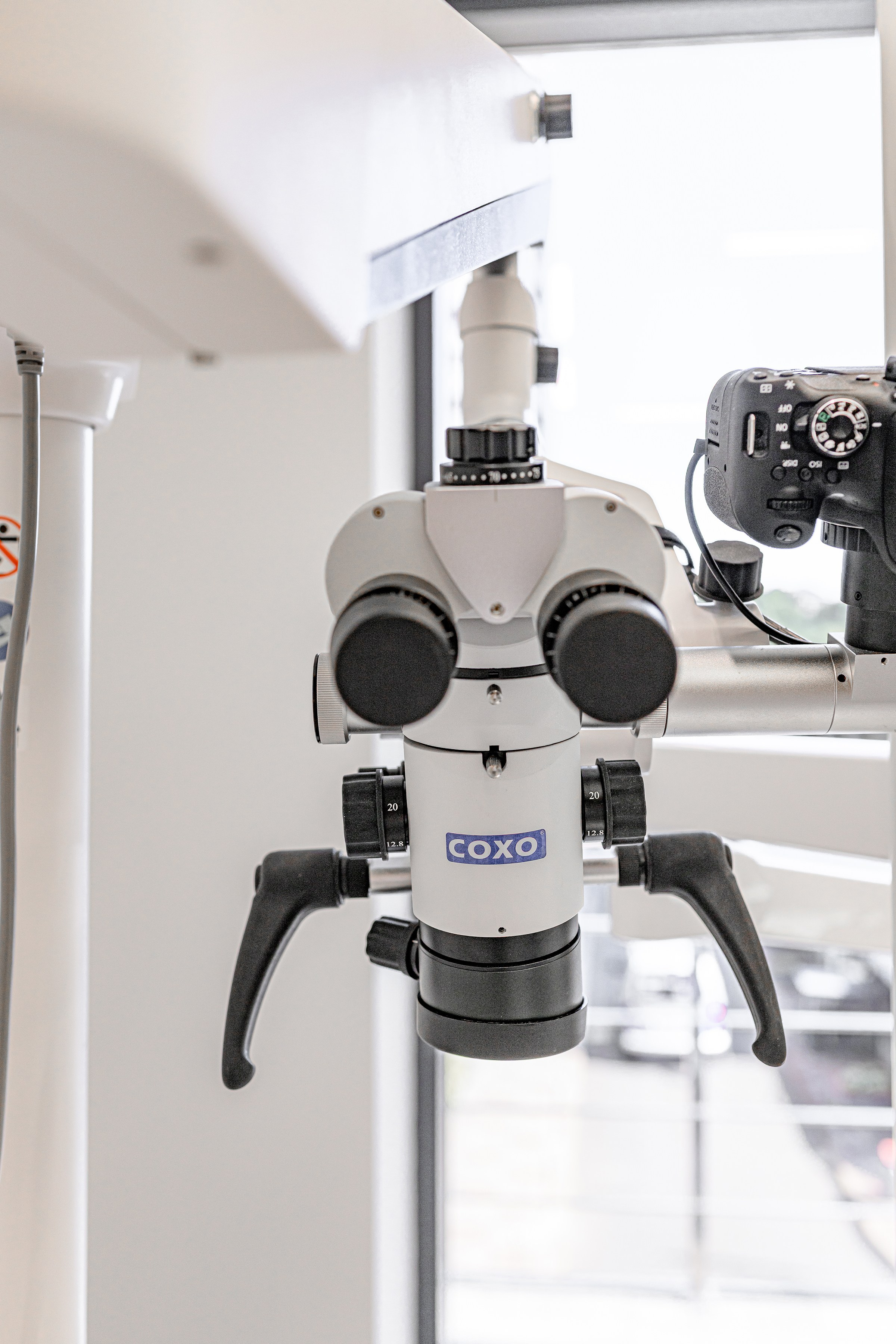 «DENTA MIA». Свадебный и семейный фотограф