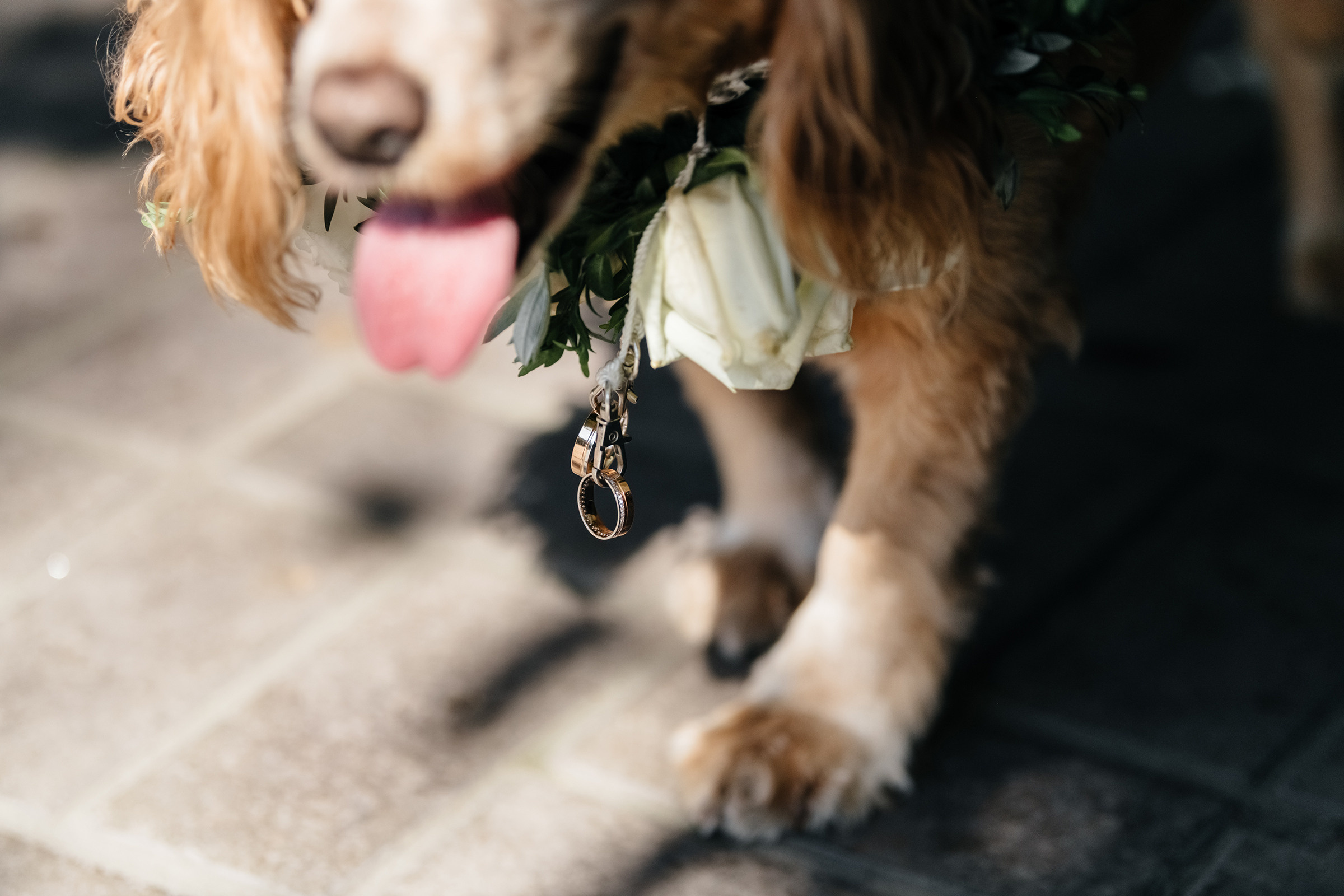 Сергій & Юлія. Свадебный и семейный фотограф