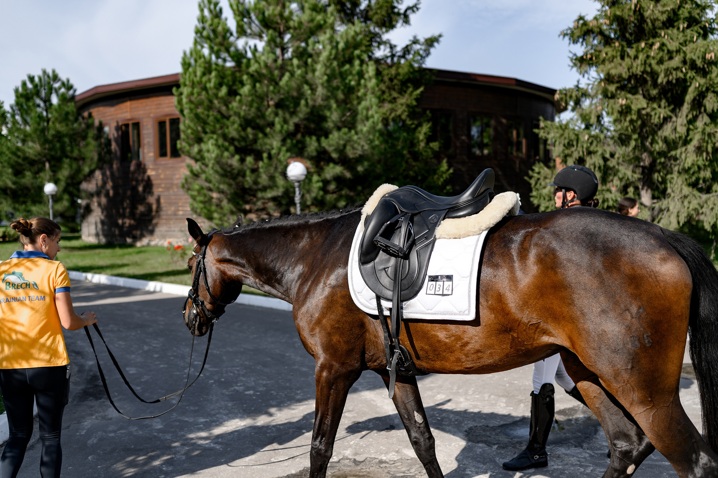 «DRESSAGE EQUIDES CUP 2023». Свадебный и семейный фотограф