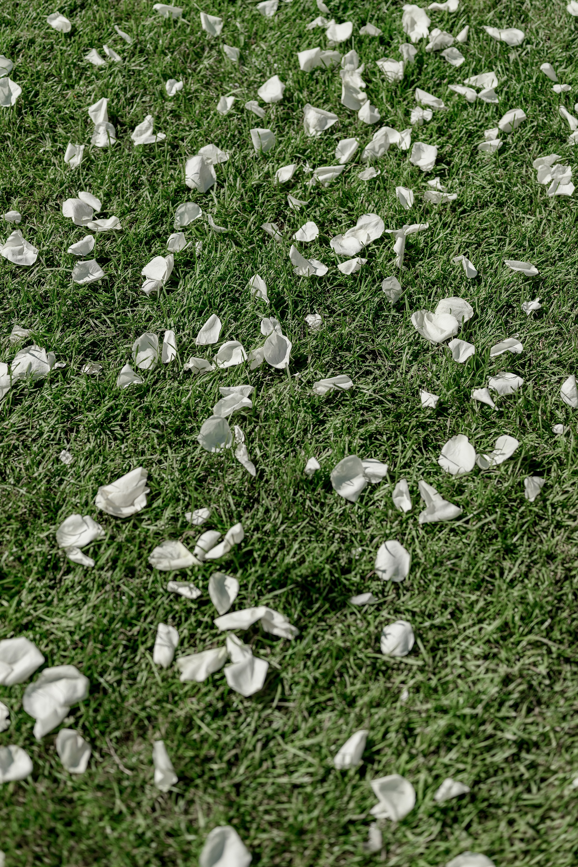 POLINA & DMITRI. Свадебный и семейный фотограф