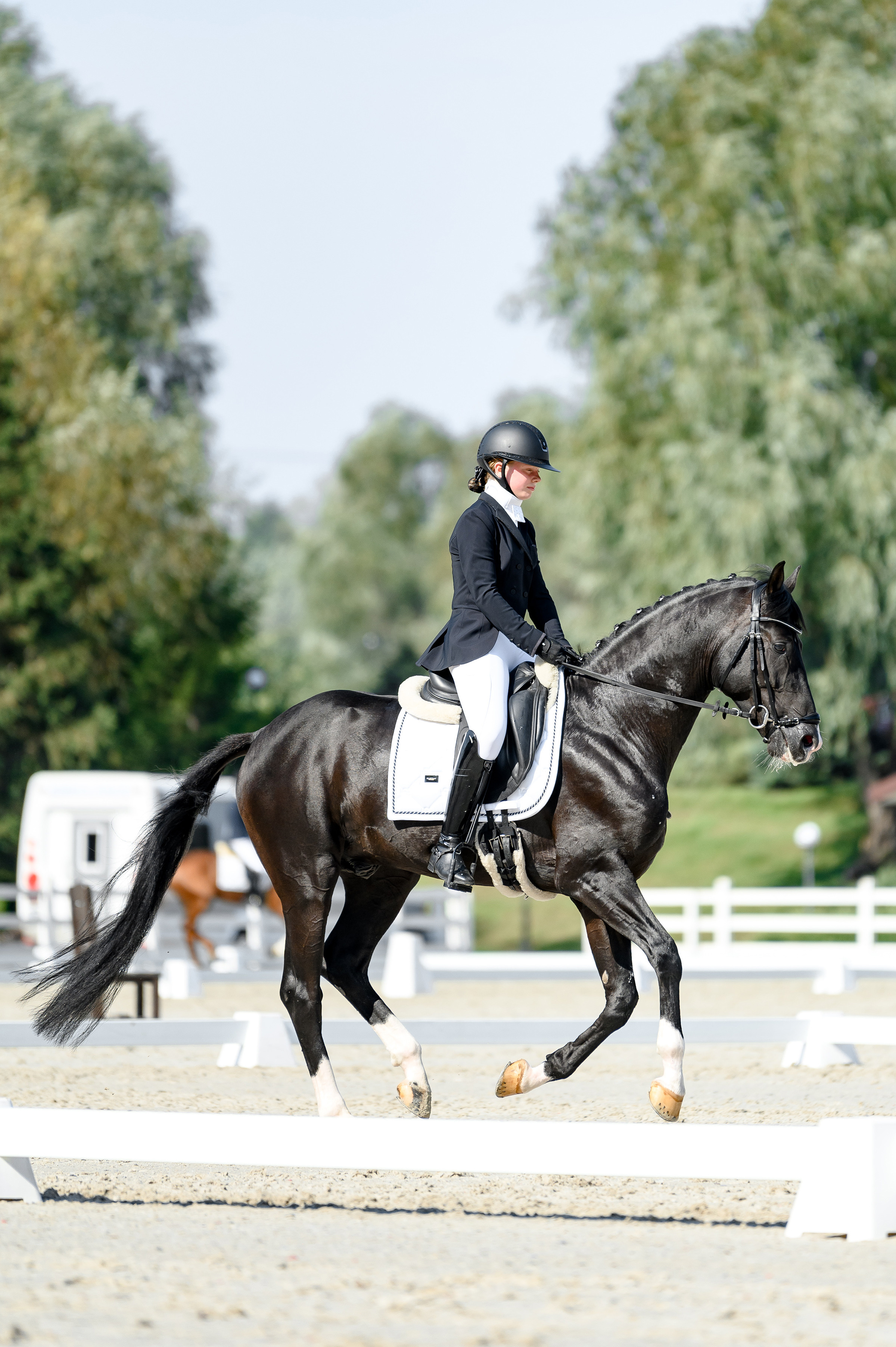 «DRESSAGE EQUIDES CUP 2023». Свадебный и семейный фотограф