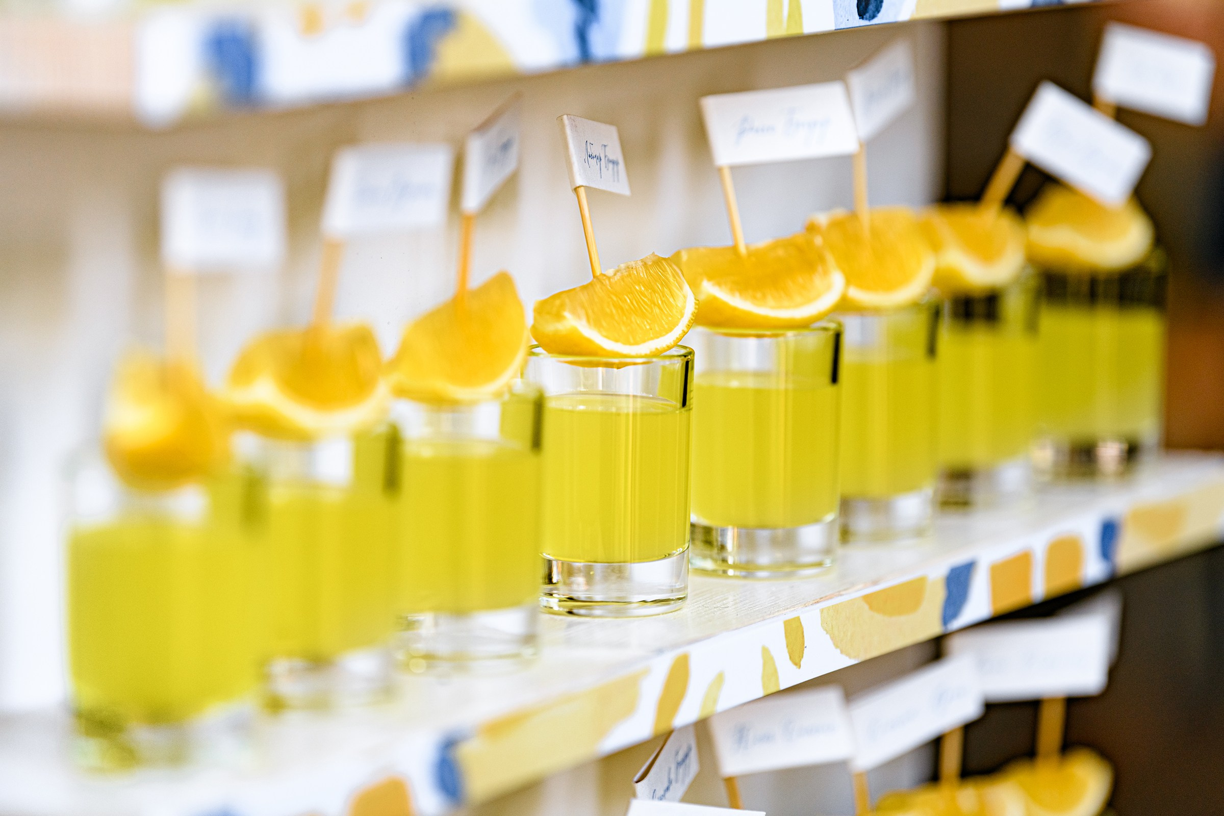 ОЛЕКСІЙ & ЯРОСЛАВА. Свадебный и семейный фотограф